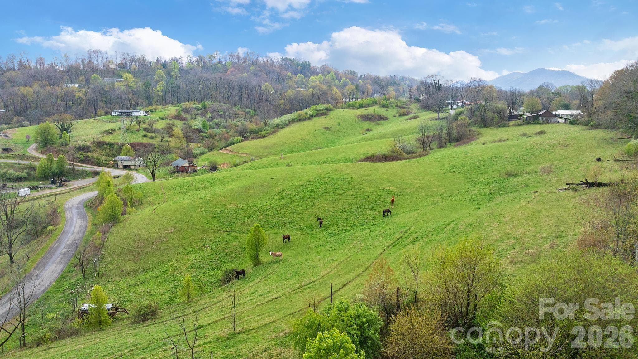 Acreage at Canton, photo 3 of 21