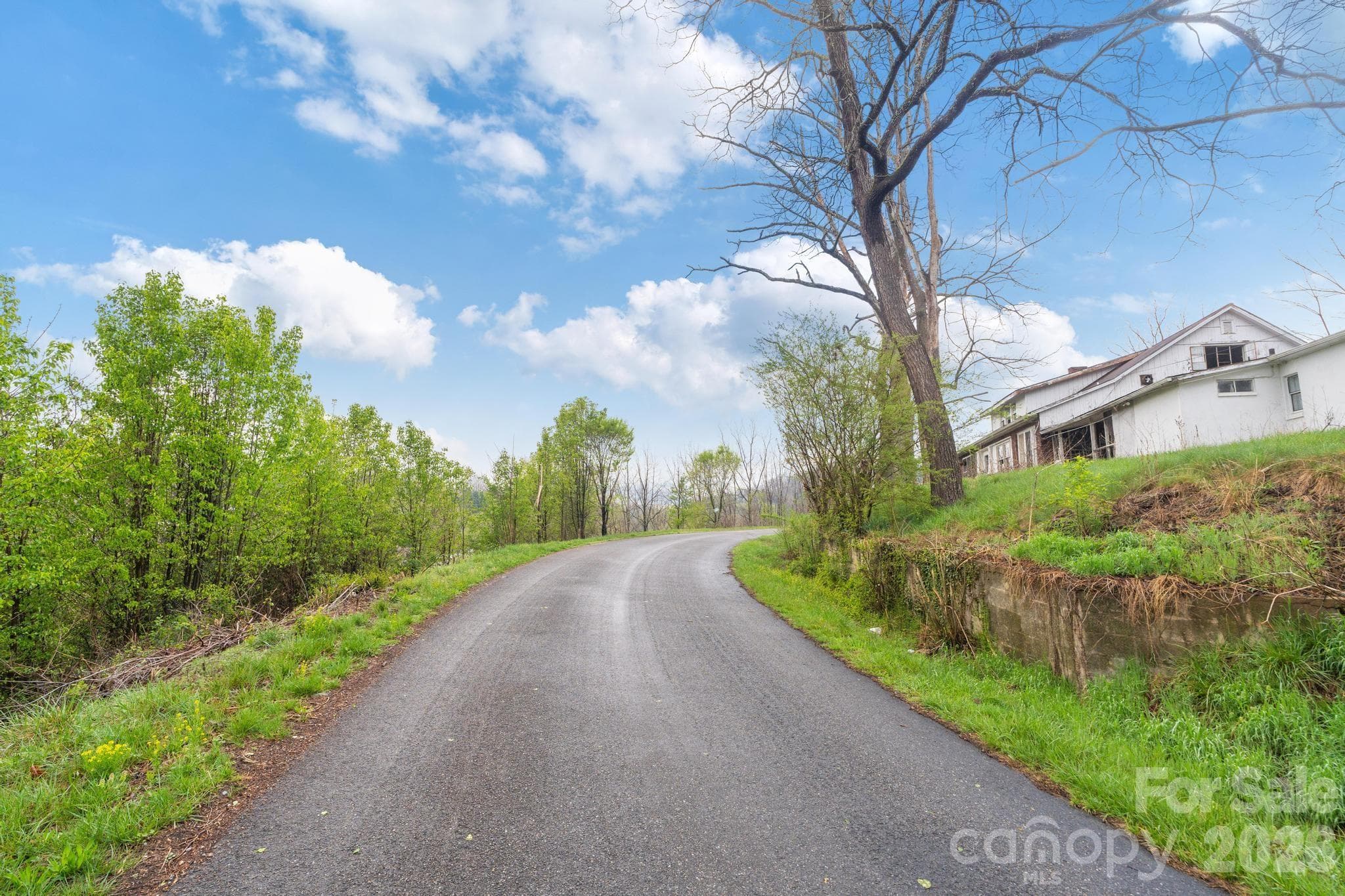 Acreage at Canton, photo 6 of 21