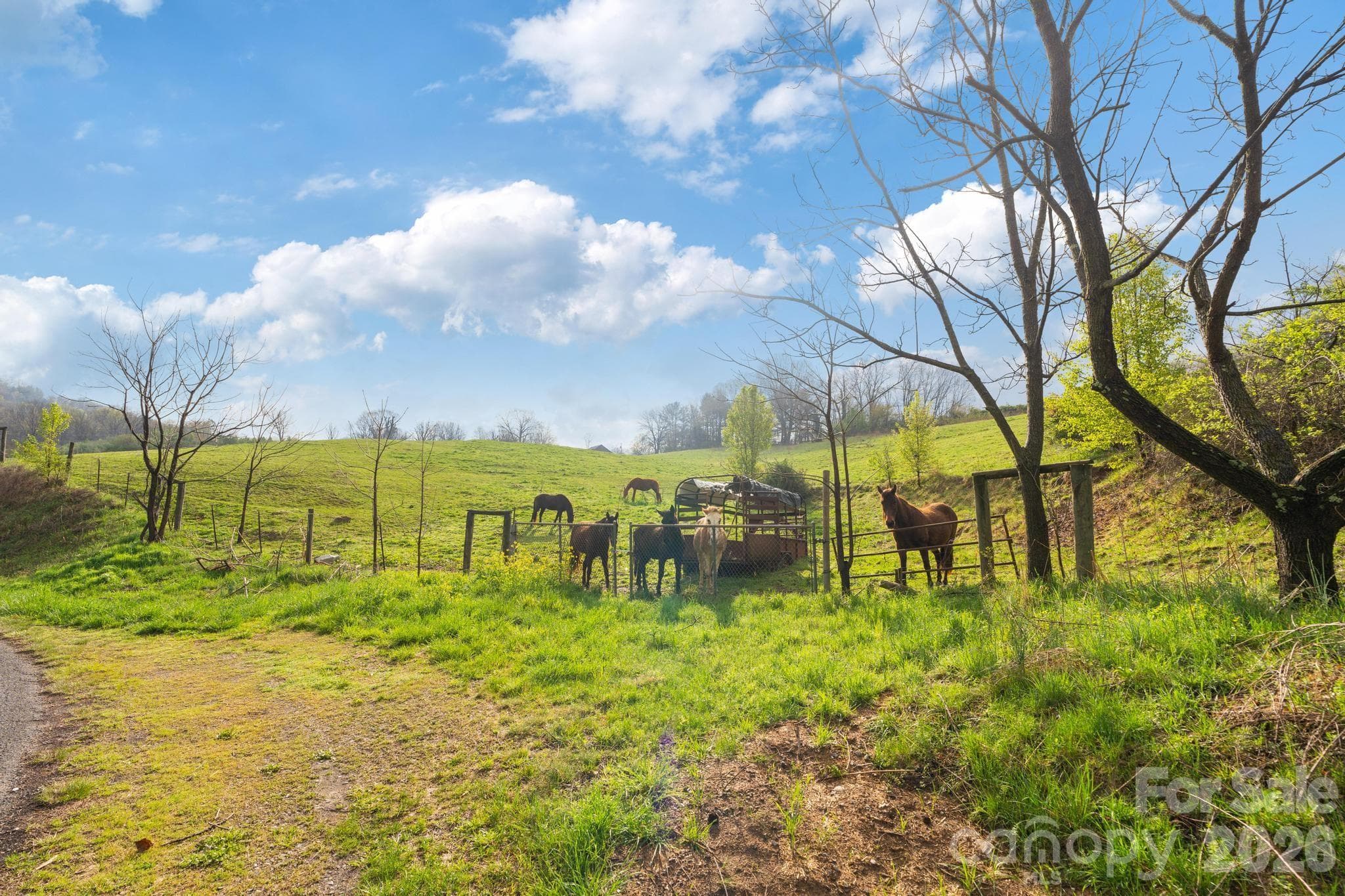 Acreage at Canton, photo 10 of 21