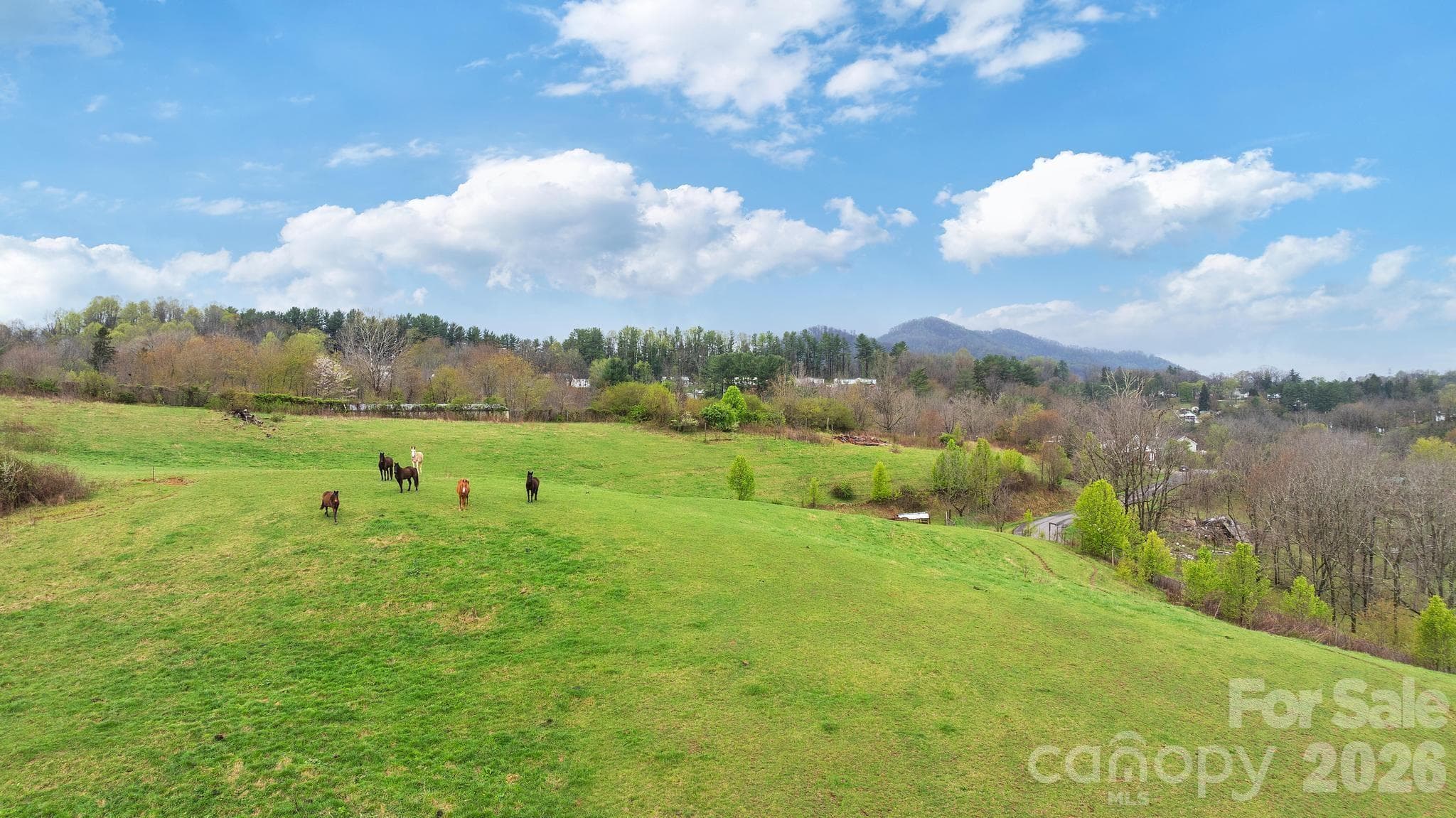 Acreage at Canton, photo 13 of 21