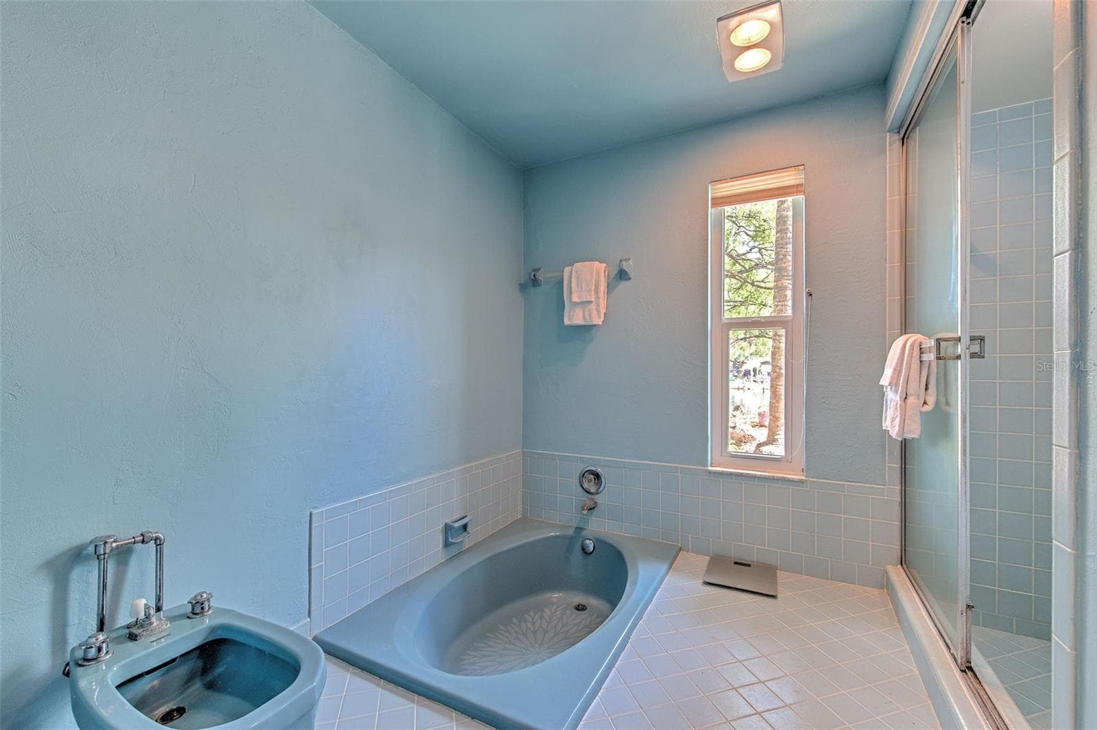 Master Bath with Sunk-in soaking tub, separate shower, bidet and commode - 7102 MANDY LN, NEW PORT RICHEY