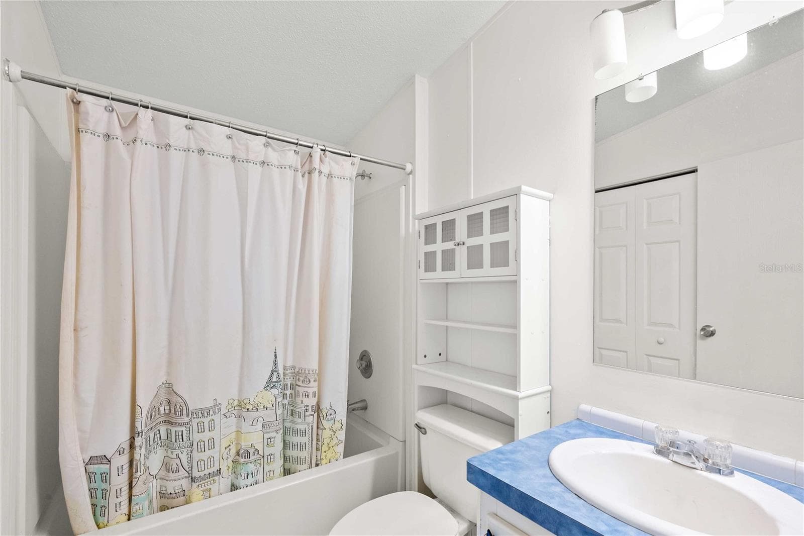 Guest bathroom. - 3210 HICKORY DR, WESLEY CHAPEL