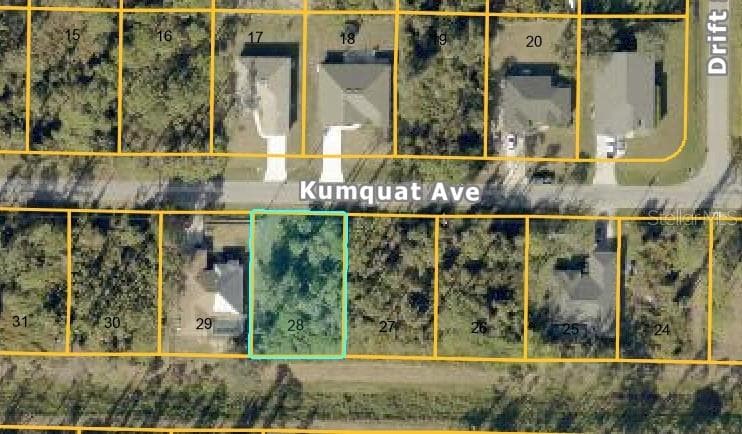 KUMQUAT AVE