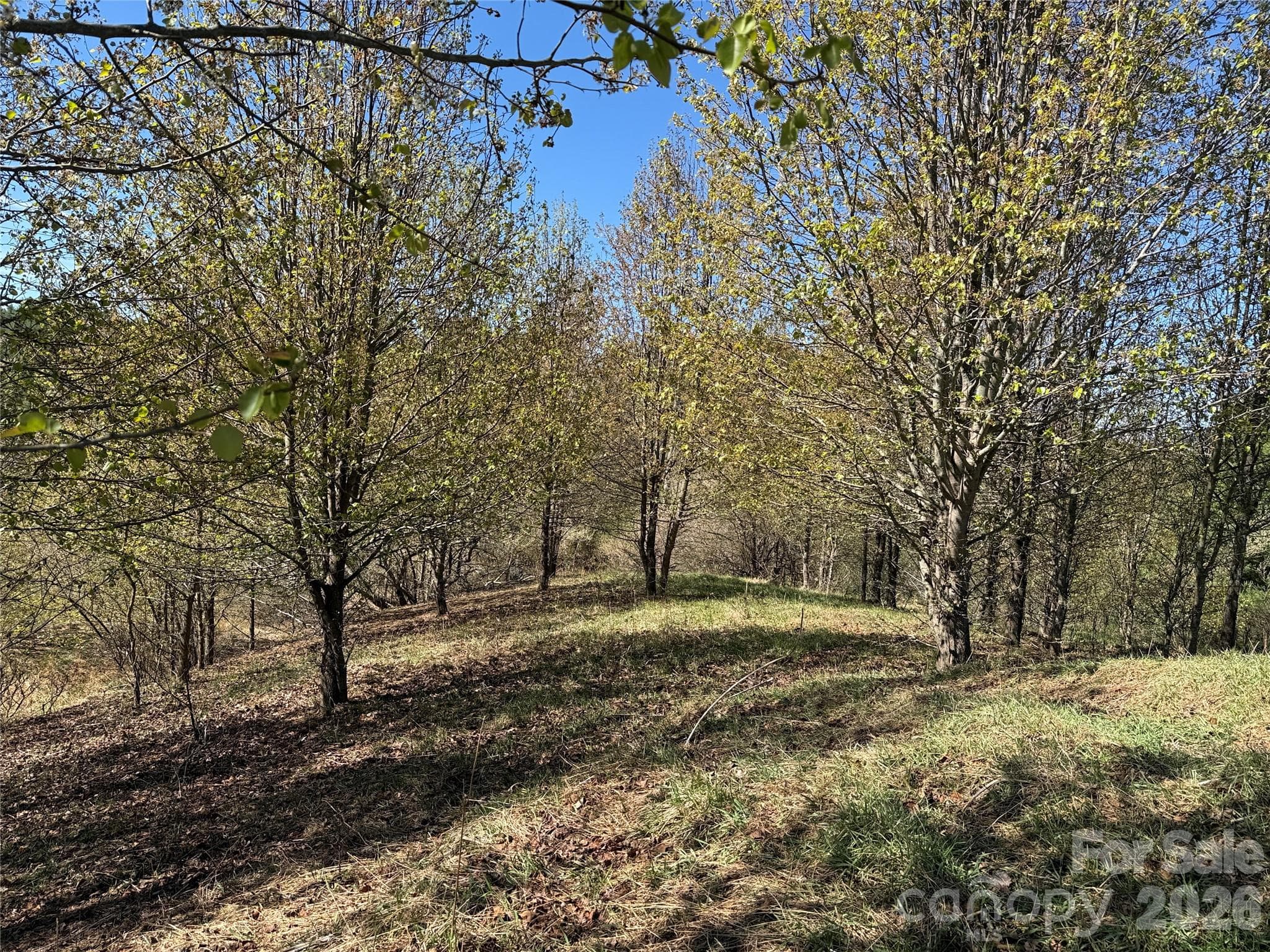Lot at TBD (Lot 21 & 22) Martha Lane, Piney Creek, photo 8 of 34