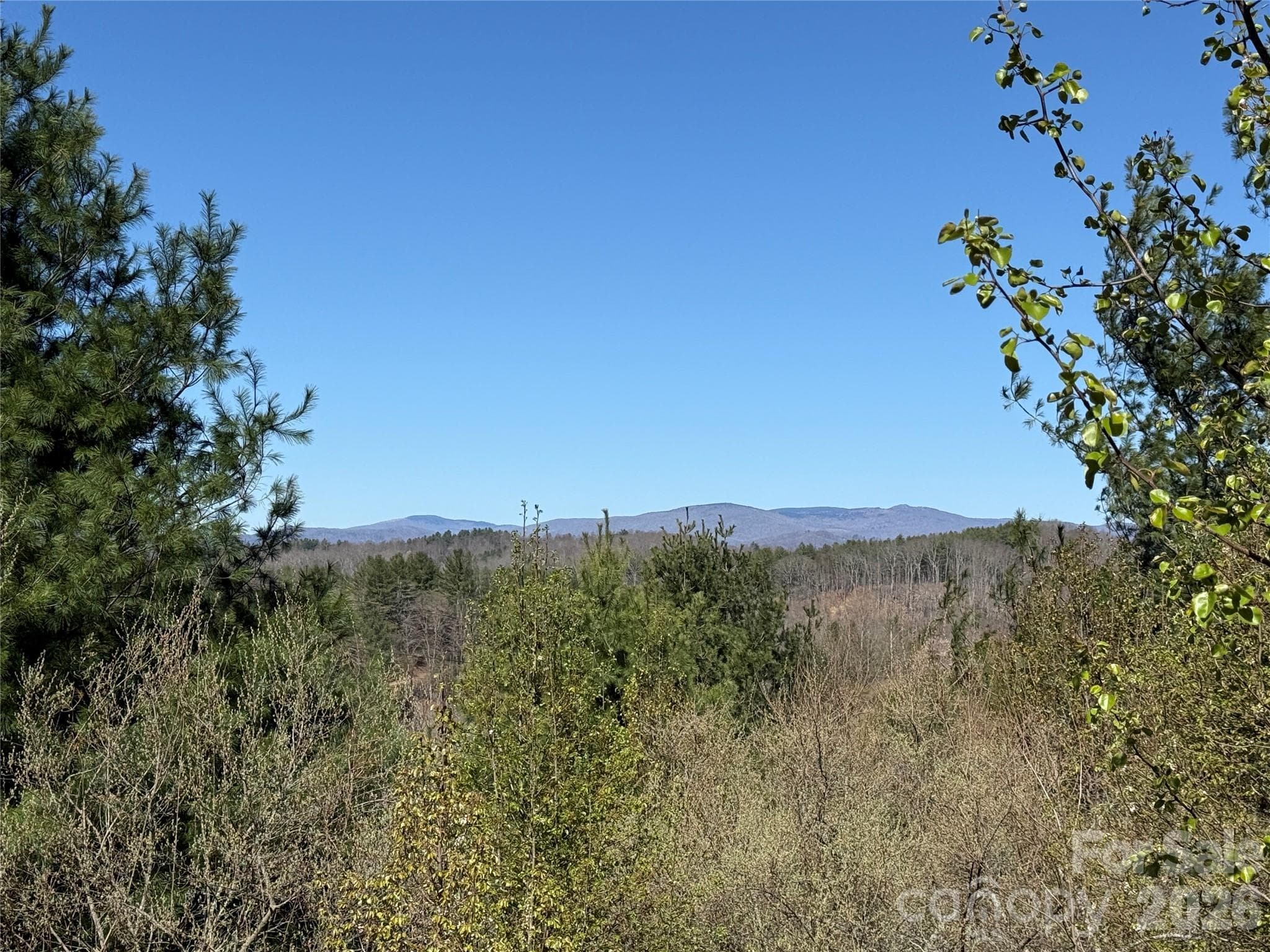 Lot at TBD (Lot 21 & 22) Martha Lane, Piney Creek, photo 11 of 34