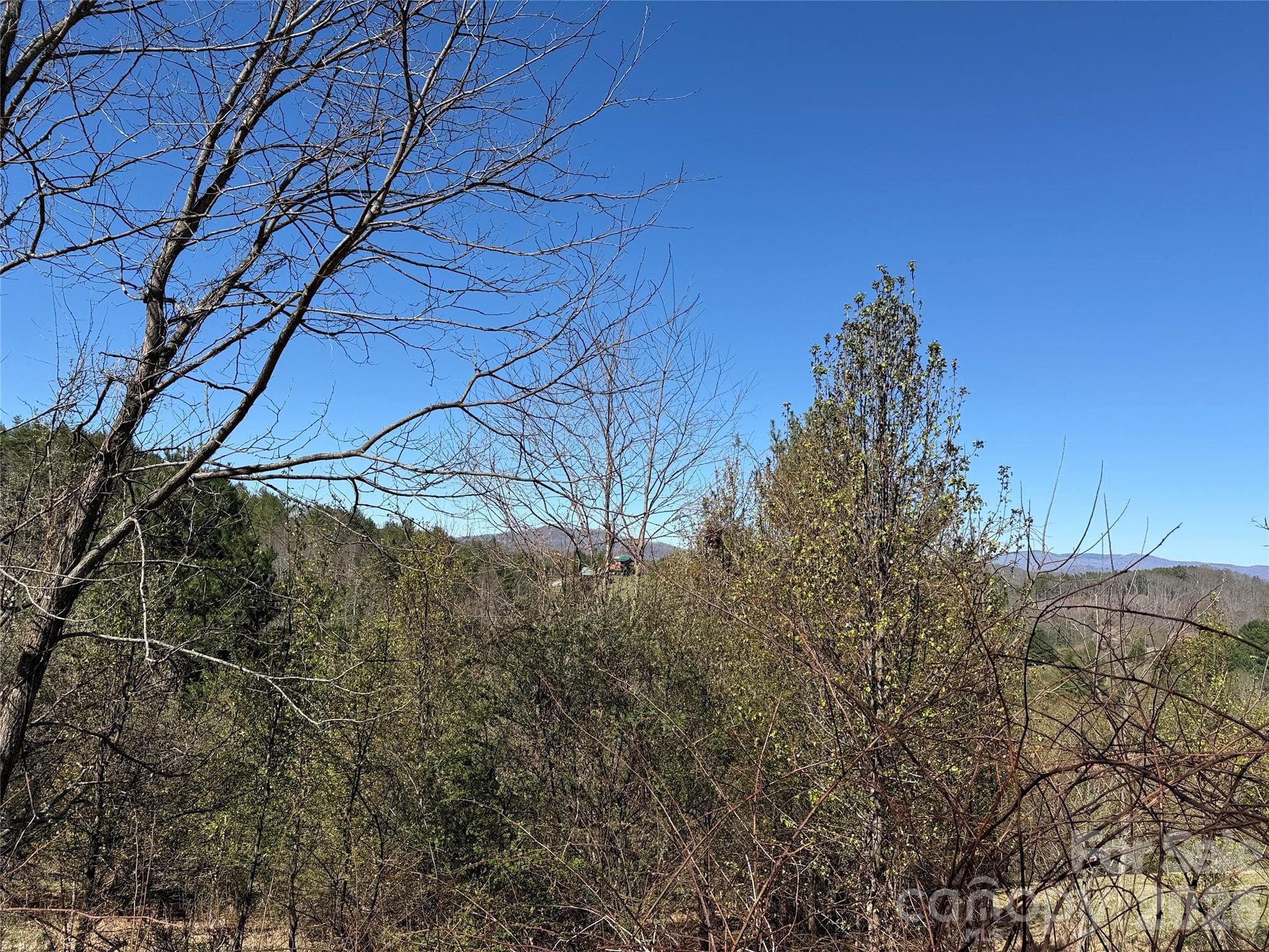 Lot at TBD (Lot 21 & 22) Martha Lane, Piney Creek, photo 13 of 34