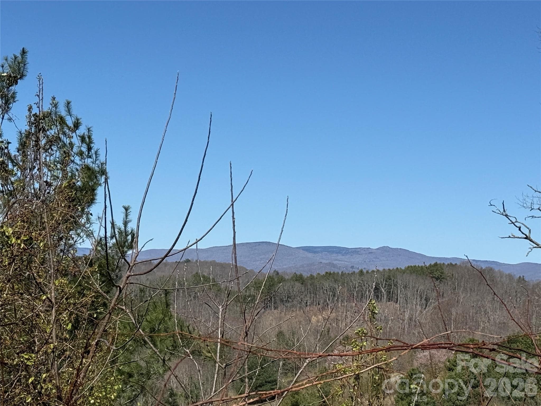 Lot at TBD (Lot 21 & 22) Martha Lane, Piney Creek, photo 14 of 34