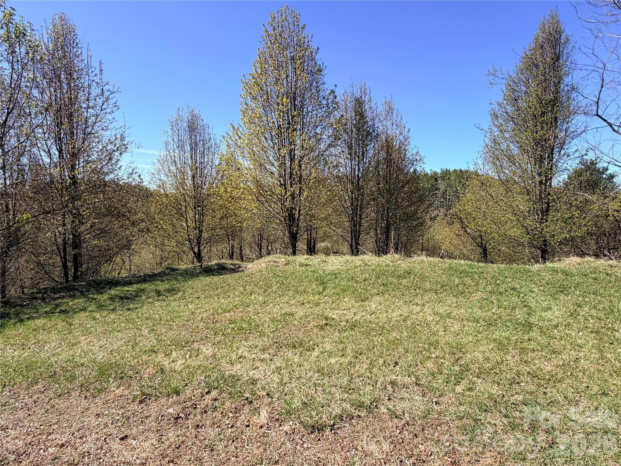 Lot at TBD (Lot 21 & 22) Martha Lane, Piney Creek, photo 15 of 34