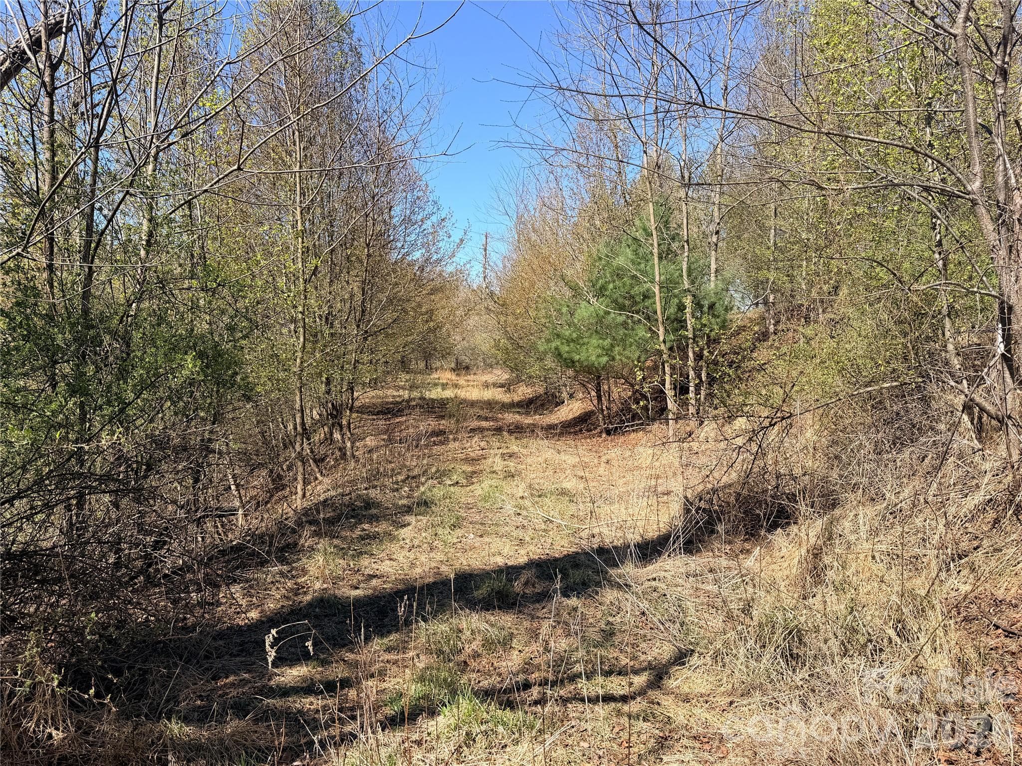 Lot at TBD (Lot 21 & 22) Martha Lane, Piney Creek, photo 18 of 34