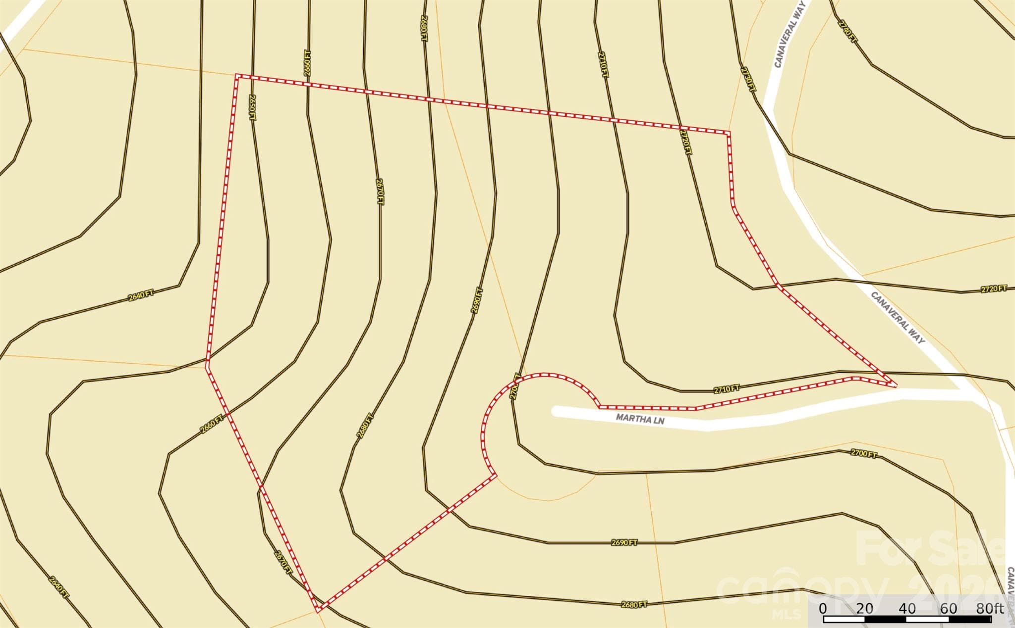 Topo - TBD (Lot 21 & 22) Martha Lane, Piney Creek