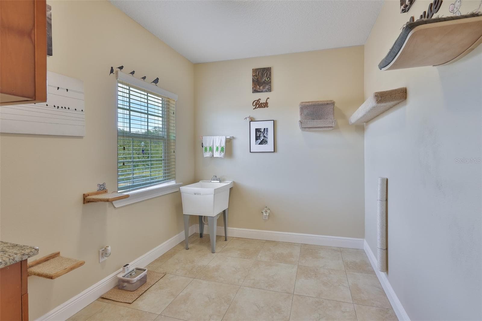 Single Family Residence at 10517 TARPON SPRINGS RD, ODESSA, photo 37 of 54