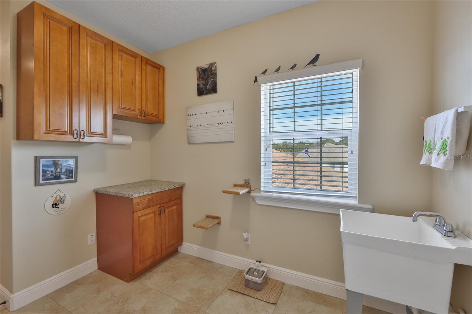 Single Family Residence at 10517 TARPON SPRINGS RD, ODESSA, photo 38 of 54