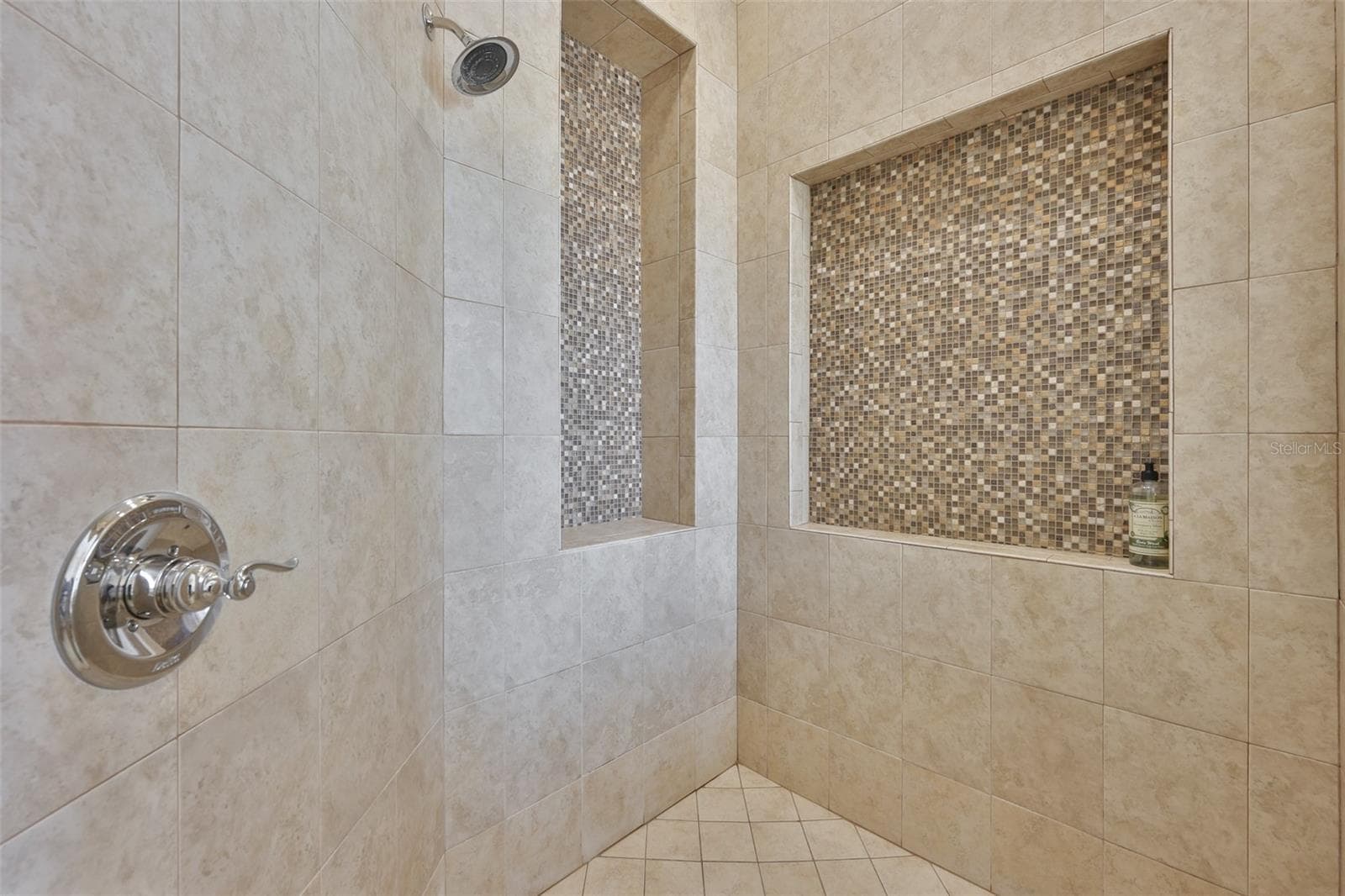 Single Family Residence at 10517 TARPON SPRINGS RD, ODESSA, photo 50 of 54