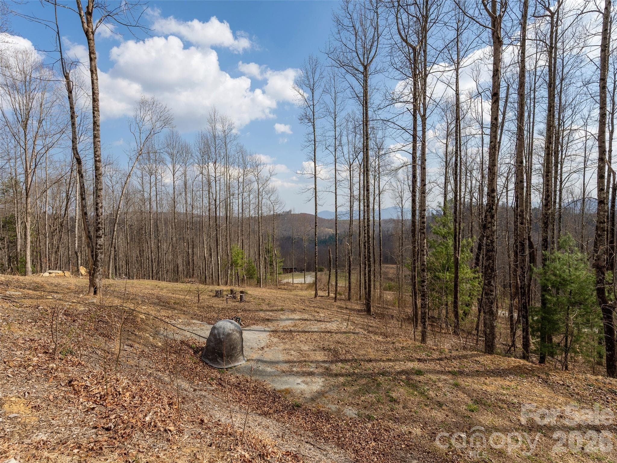 Lot at Hendersonville, photo 4 of 17