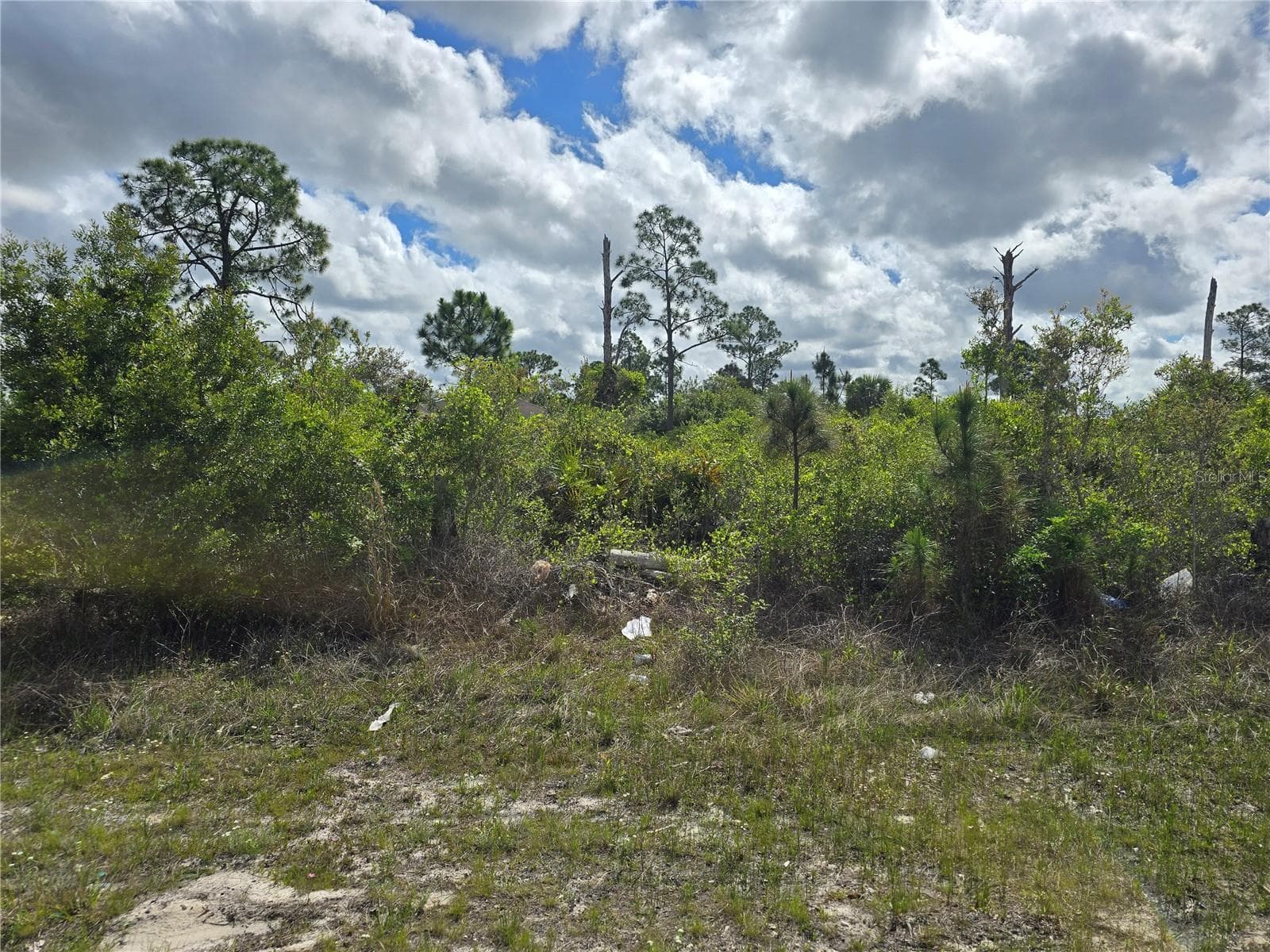 LEHIGH ACRES