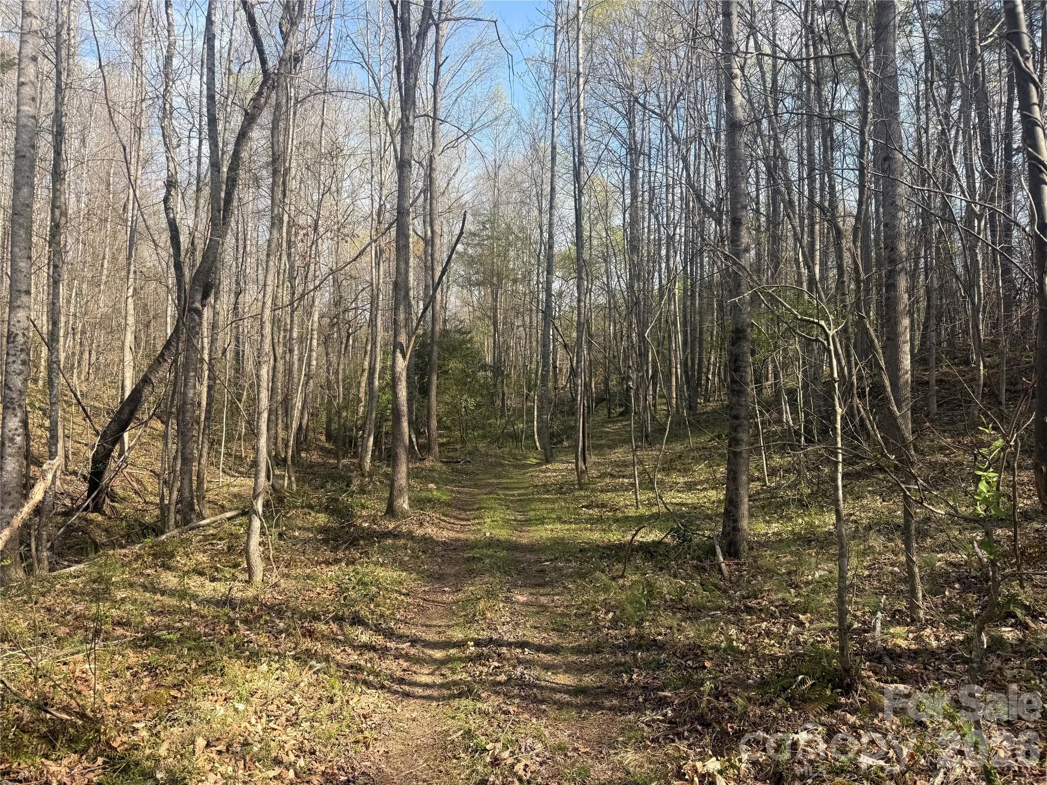 Acreage at 1164 Robert C Kellam Road, Pinnacle, photo 45 of 48