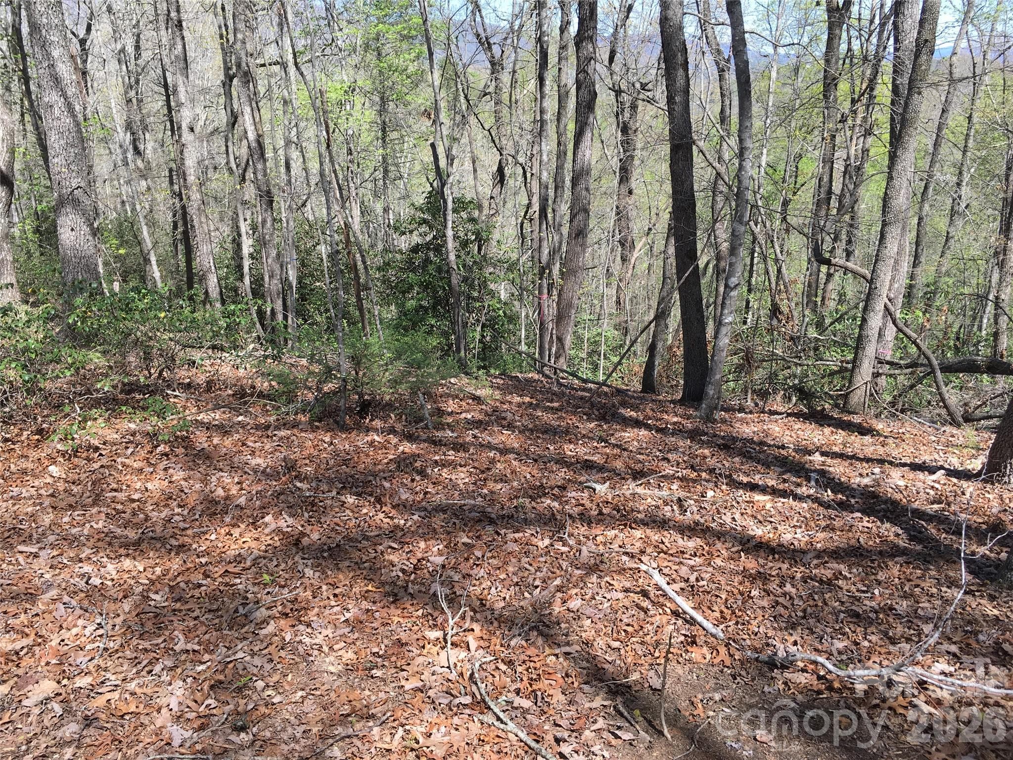 Acreage at 00 Lytle Mountain Road, Marion, photo 7 of 43