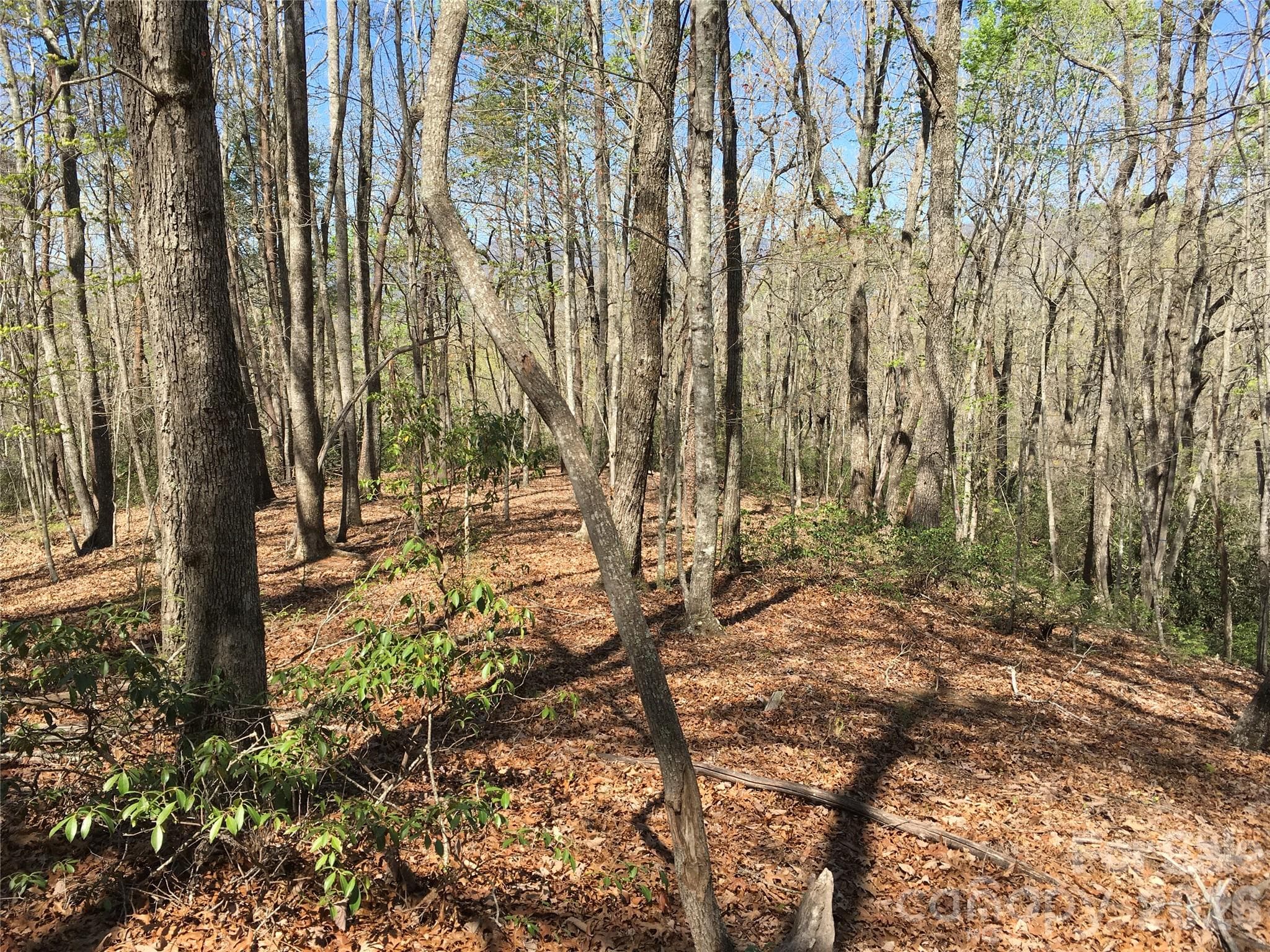 Acreage at 00 Lytle Mountain Road, Marion, photo 9 of 43
