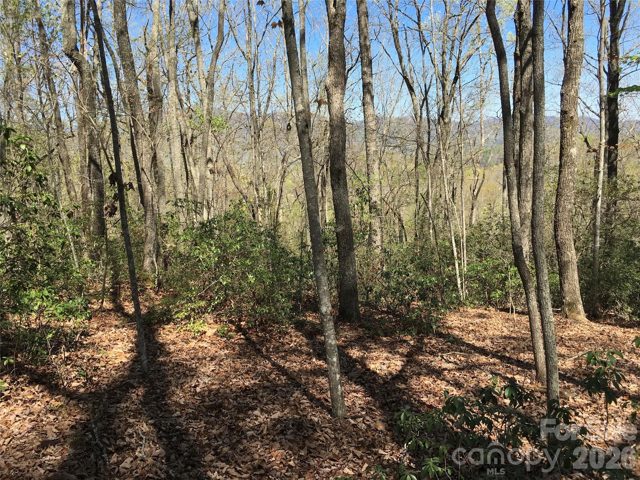 Acreage at 00 Lytle Mountain Road, Marion, photo 25 of 43