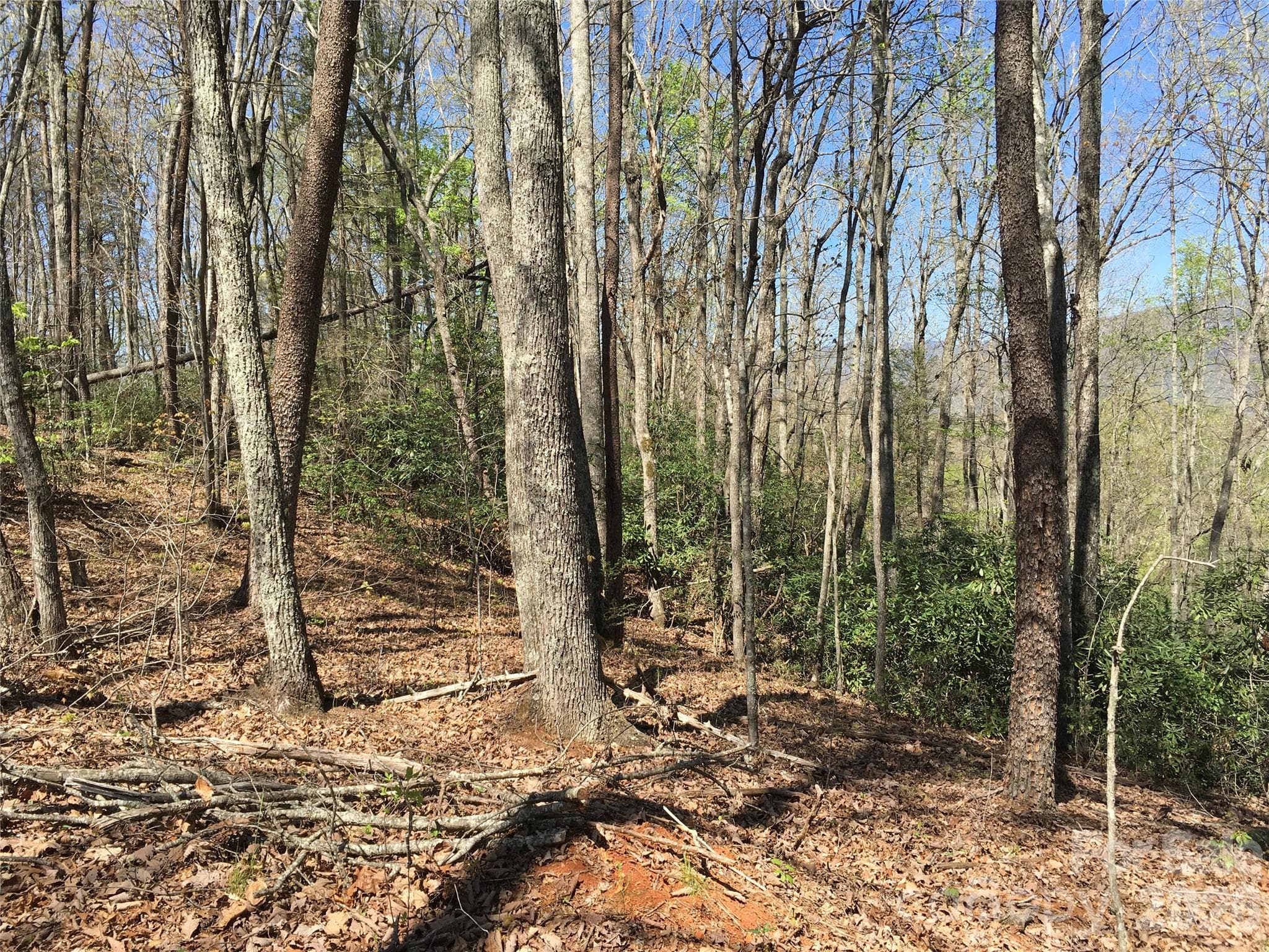 Acreage at 00 Lytle Mountain Road, Marion, photo 21 of 43