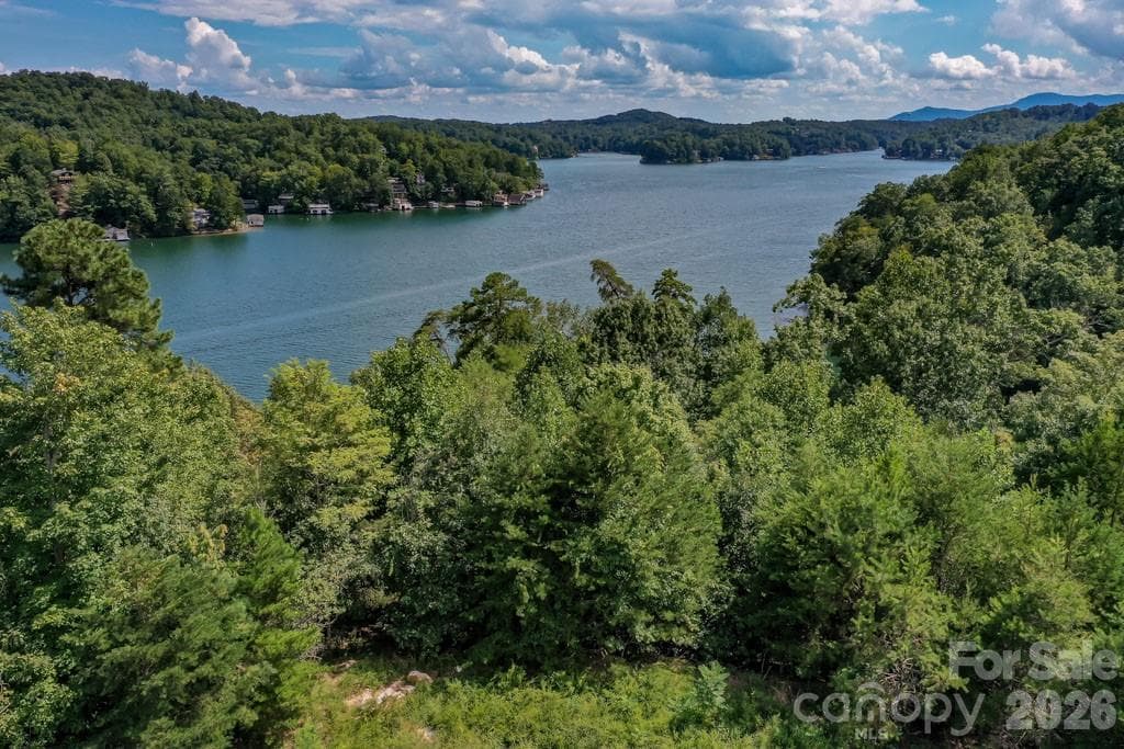 Lot at 000 Holmstead Drive, Lake Lure, photo 3 of 27