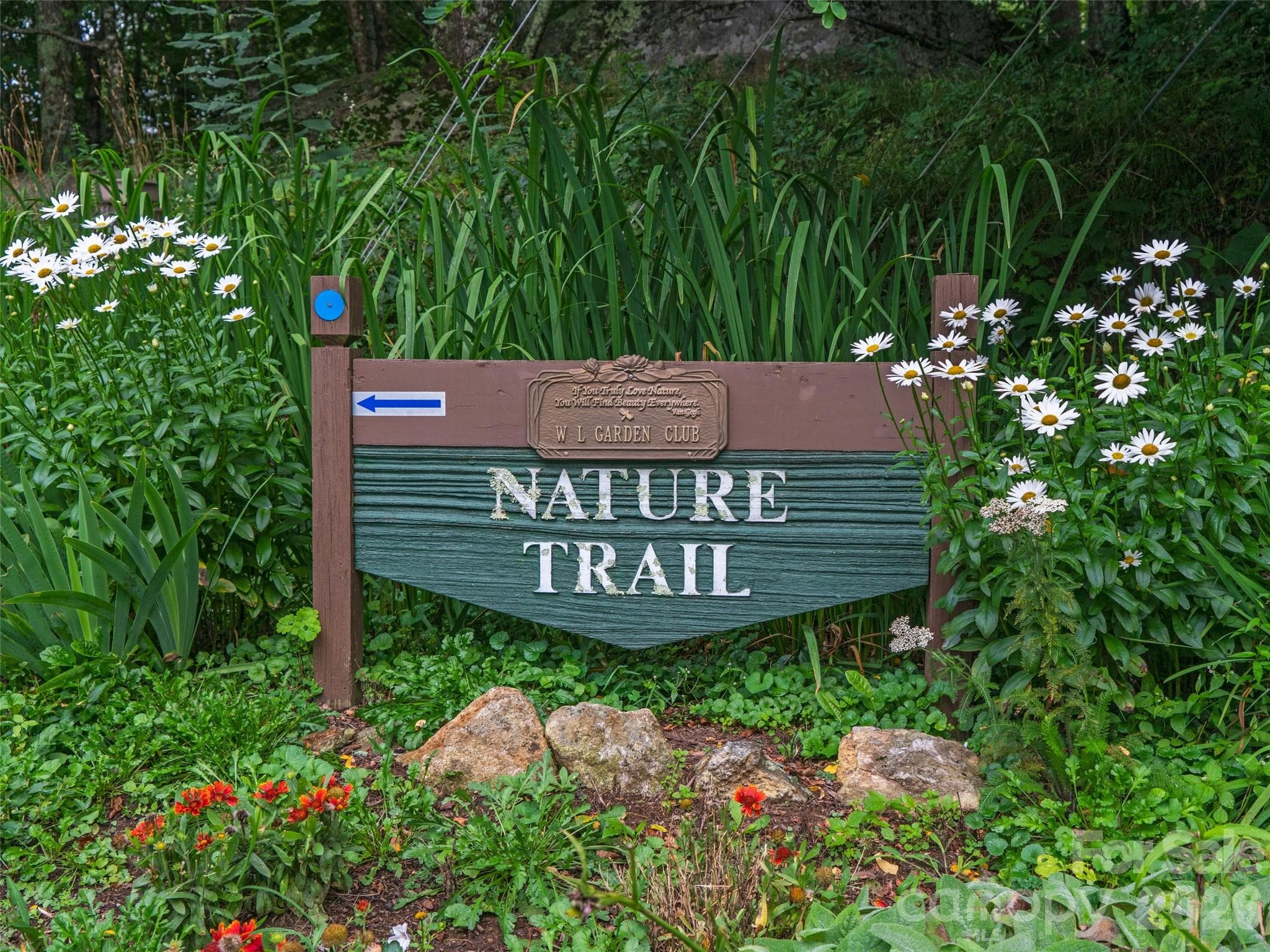 Hiking Trails/adjoins Appalachian Trail - 0 CHESTNUT Lane, Mars Hill