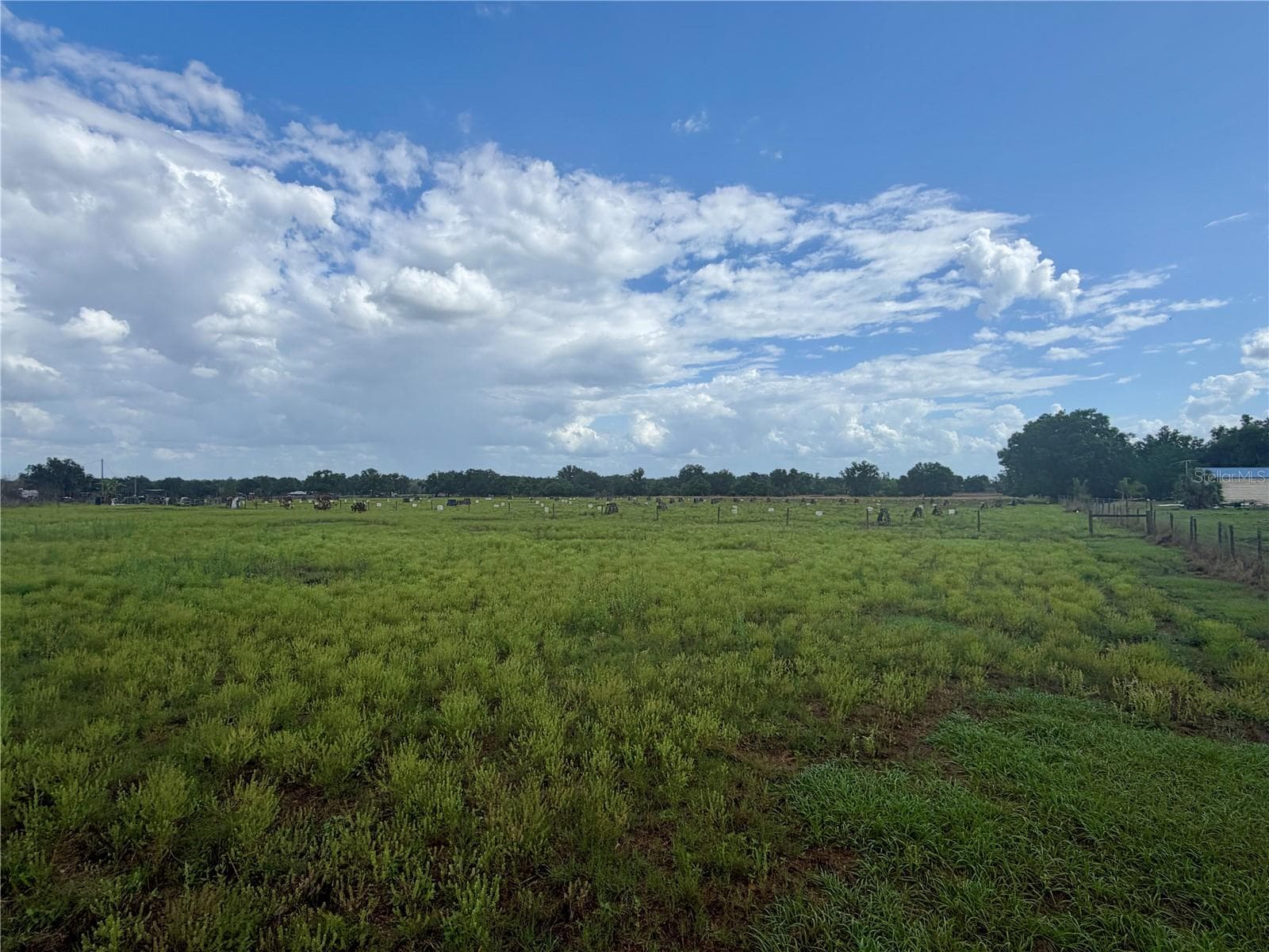 Land at W ST RD 64, WAUCHULA, photo 8 of 9
