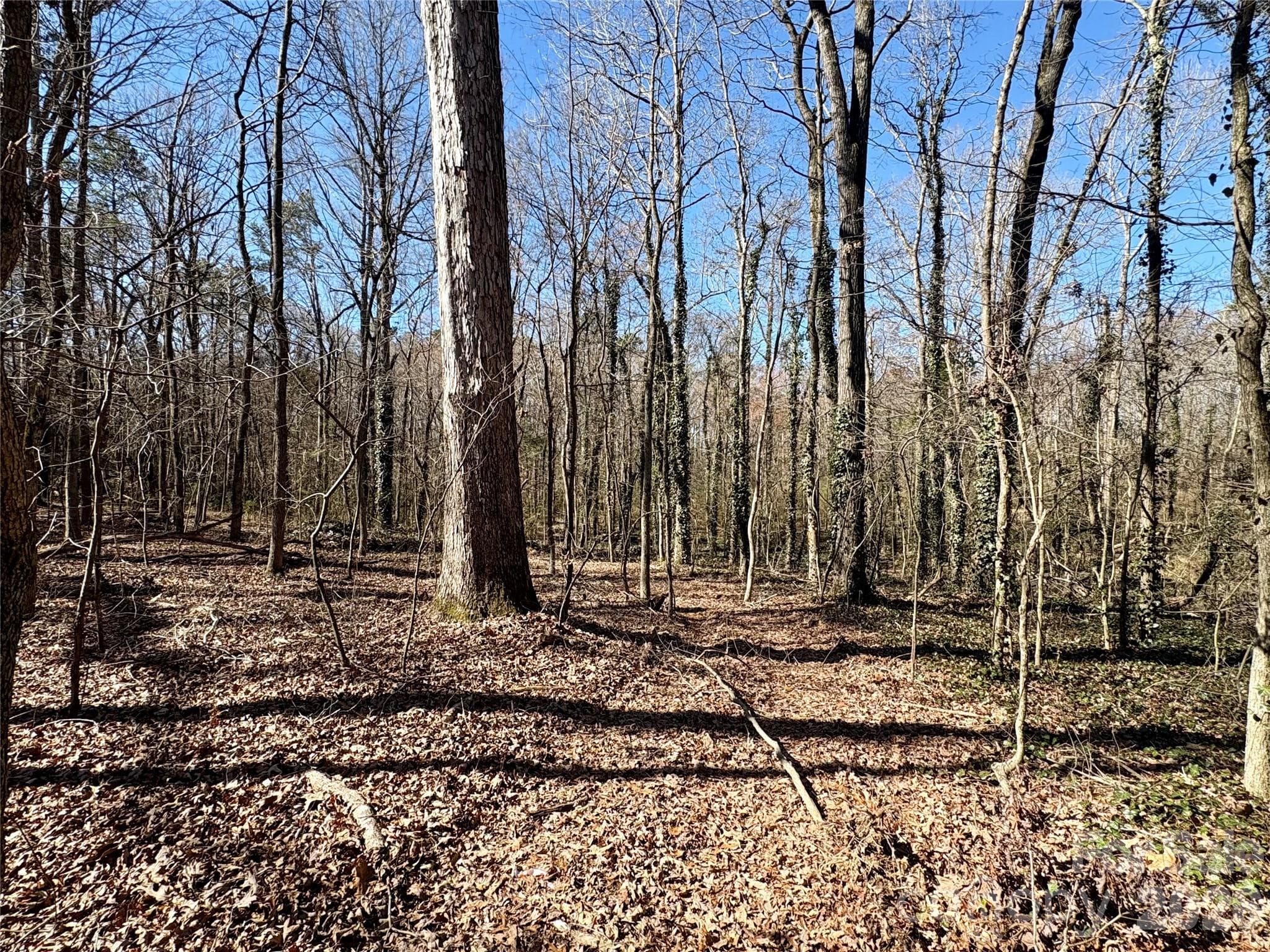 Lot at 1417 Ellis Griffin Road, Wingate, photo 4 of 9