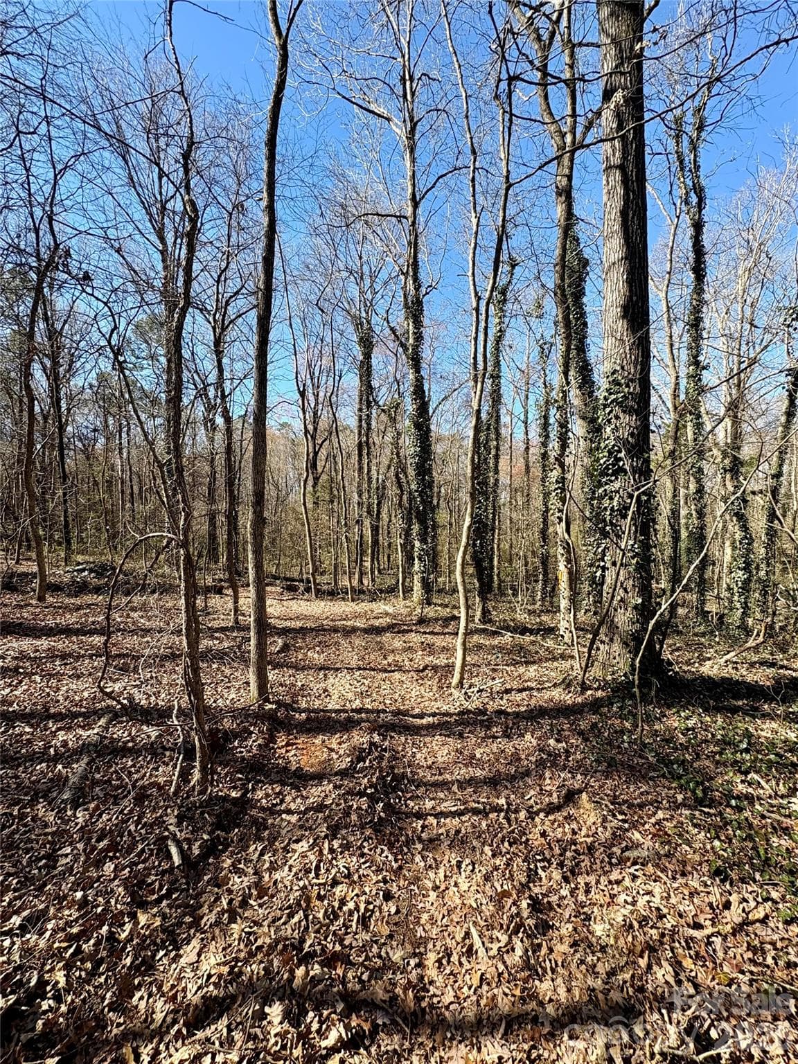 Lot at 1417 Ellis Griffin Road, Wingate, photo 5 of 9
