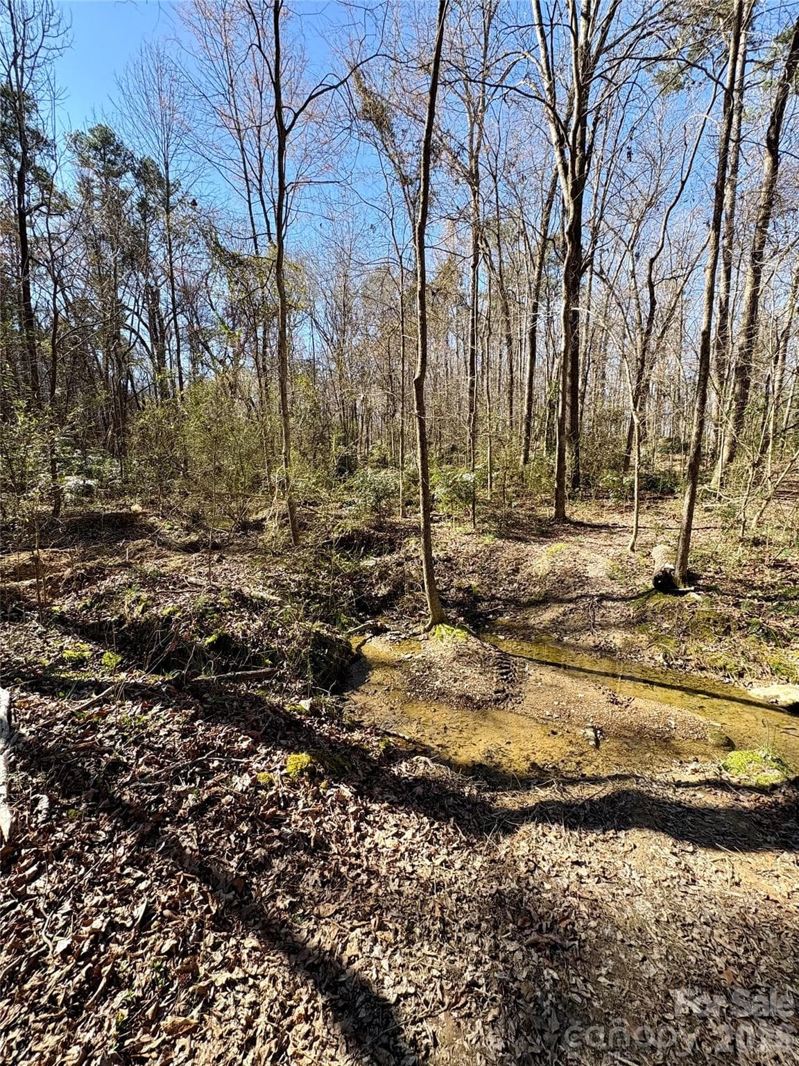 Lot at 1417 Ellis Griffin Road, Wingate, photo 7 of 9