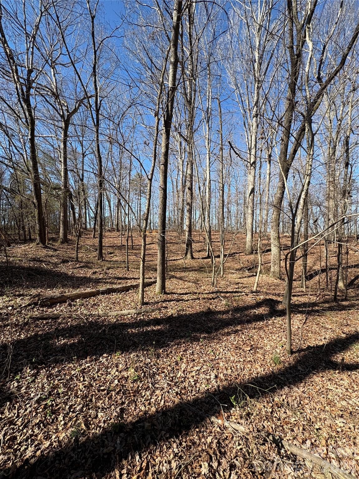 Lot at 1417 Ellis Griffin Road, Wingate, photo 8 of 9