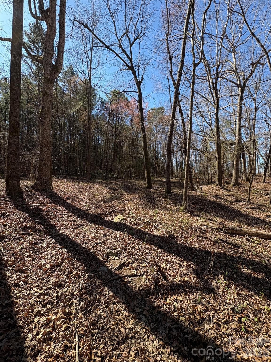 Lot at 1417 Ellis Griffin Road, Wingate, photo 9 of 9