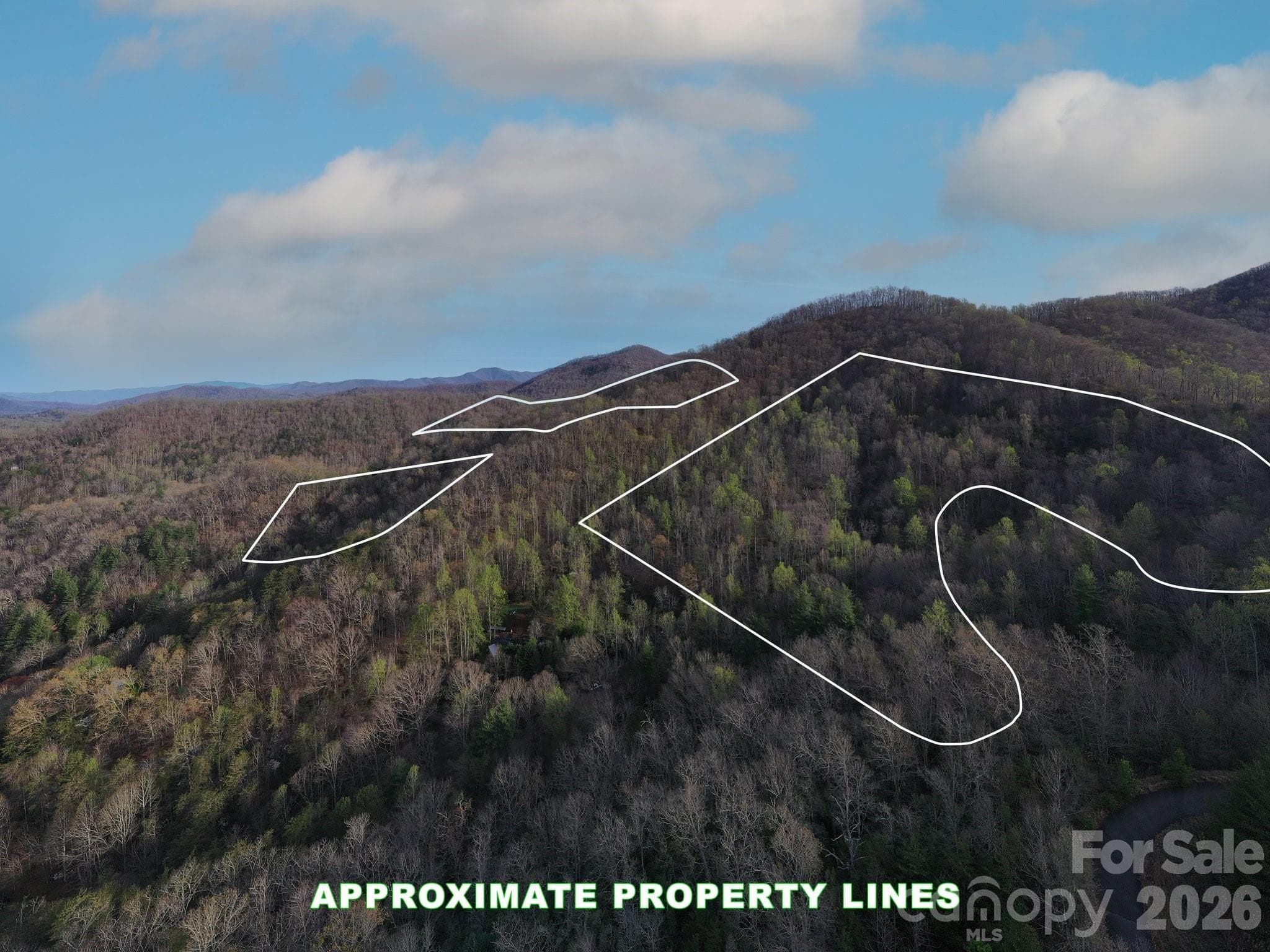 Approximate lines of both PINs - TBD Bel Air Road, Cullowhee