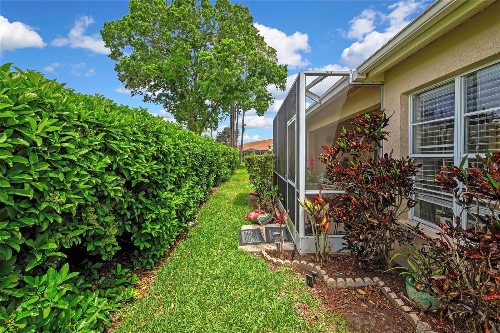 Backyard - 6447 PINE WALK DR, NEW PORT RICHEY