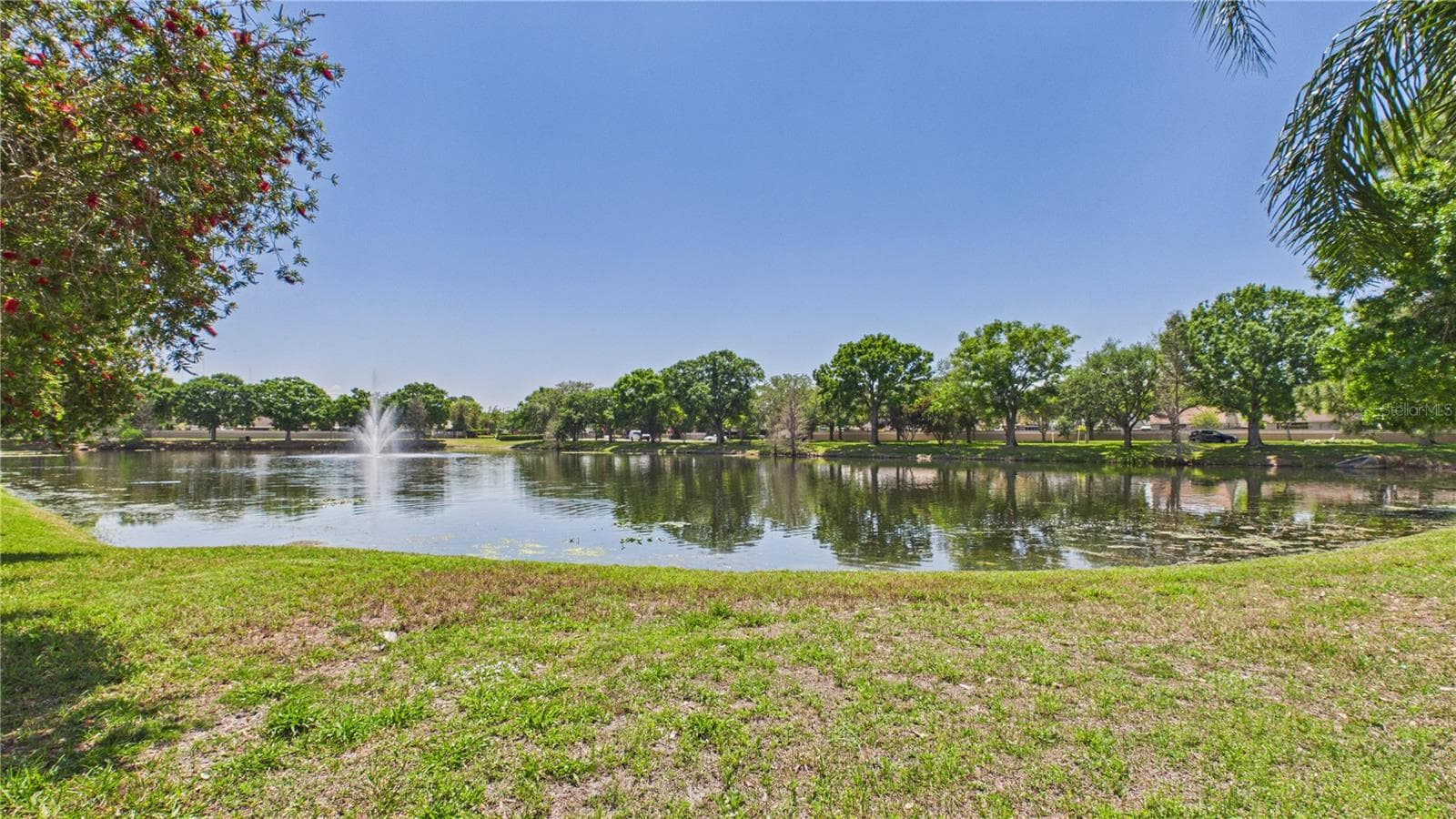 Single Family Residence at 8609 BOYSENBERRY DR, TAMPA, photo 45 of 52