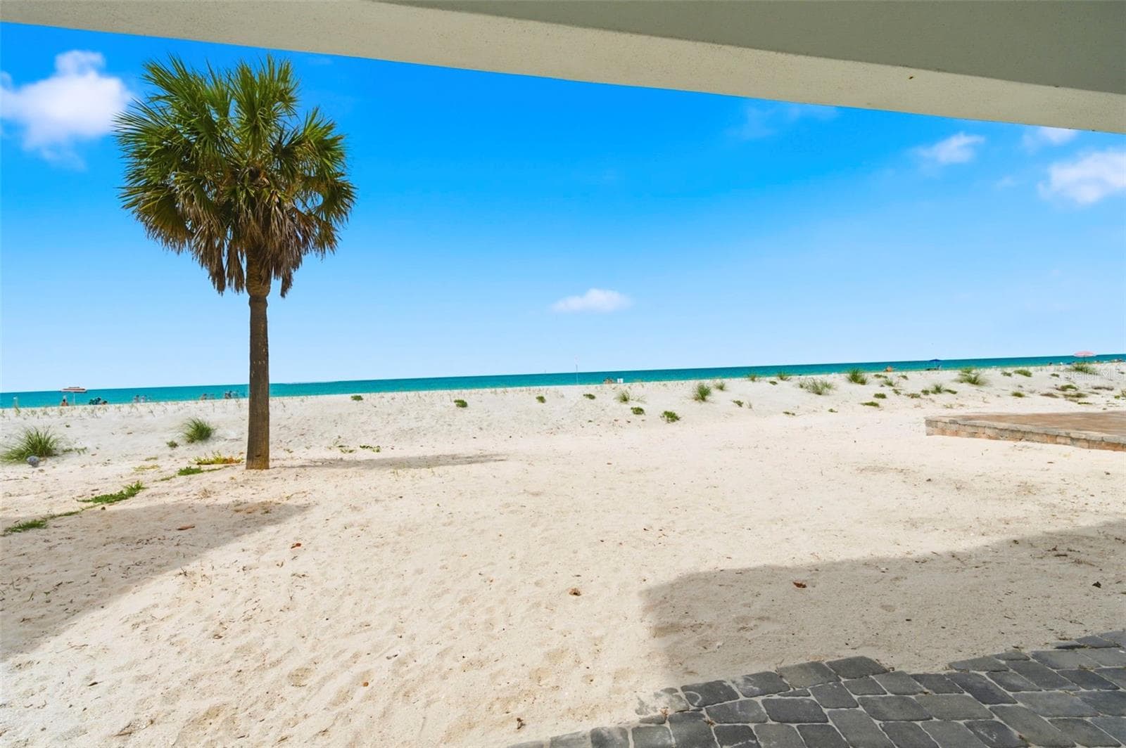 Beach View - 8680 W GULF BLVD, TREASURE ISLAND