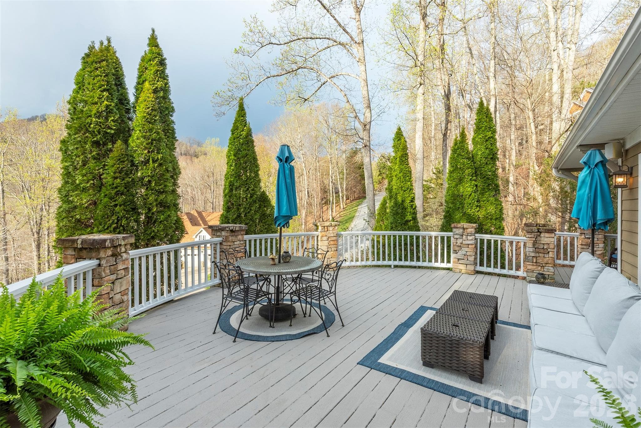 Single Family Residence at Asheville, photo 7 of 48