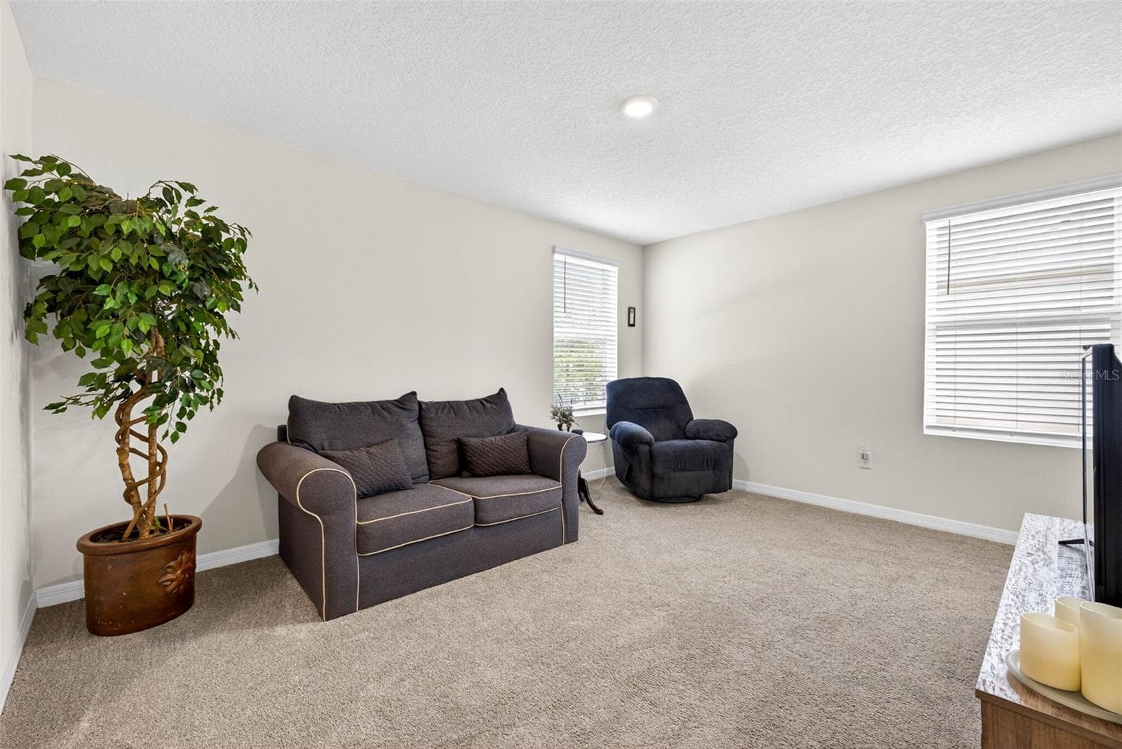 Loft - 13765 WHISKEY DAISY DR, DADE CITY