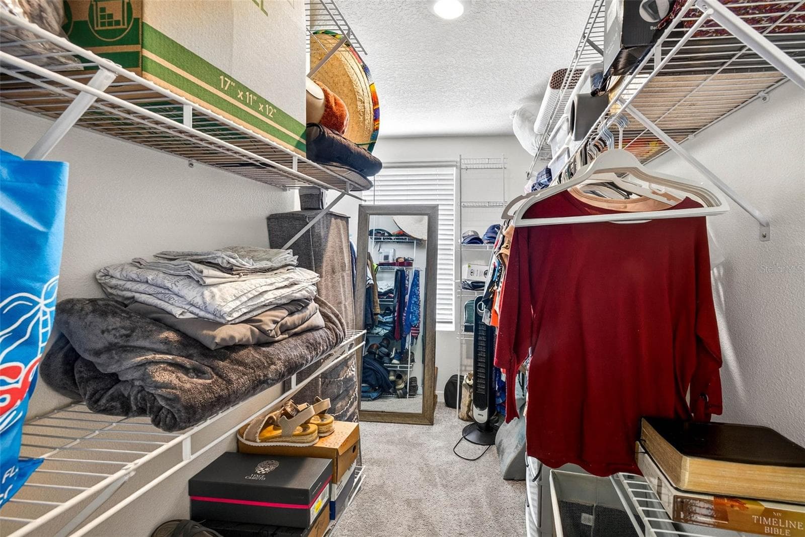 HUGE Primary Closet - 13765 WHISKEY DAISY DR, DADE CITY