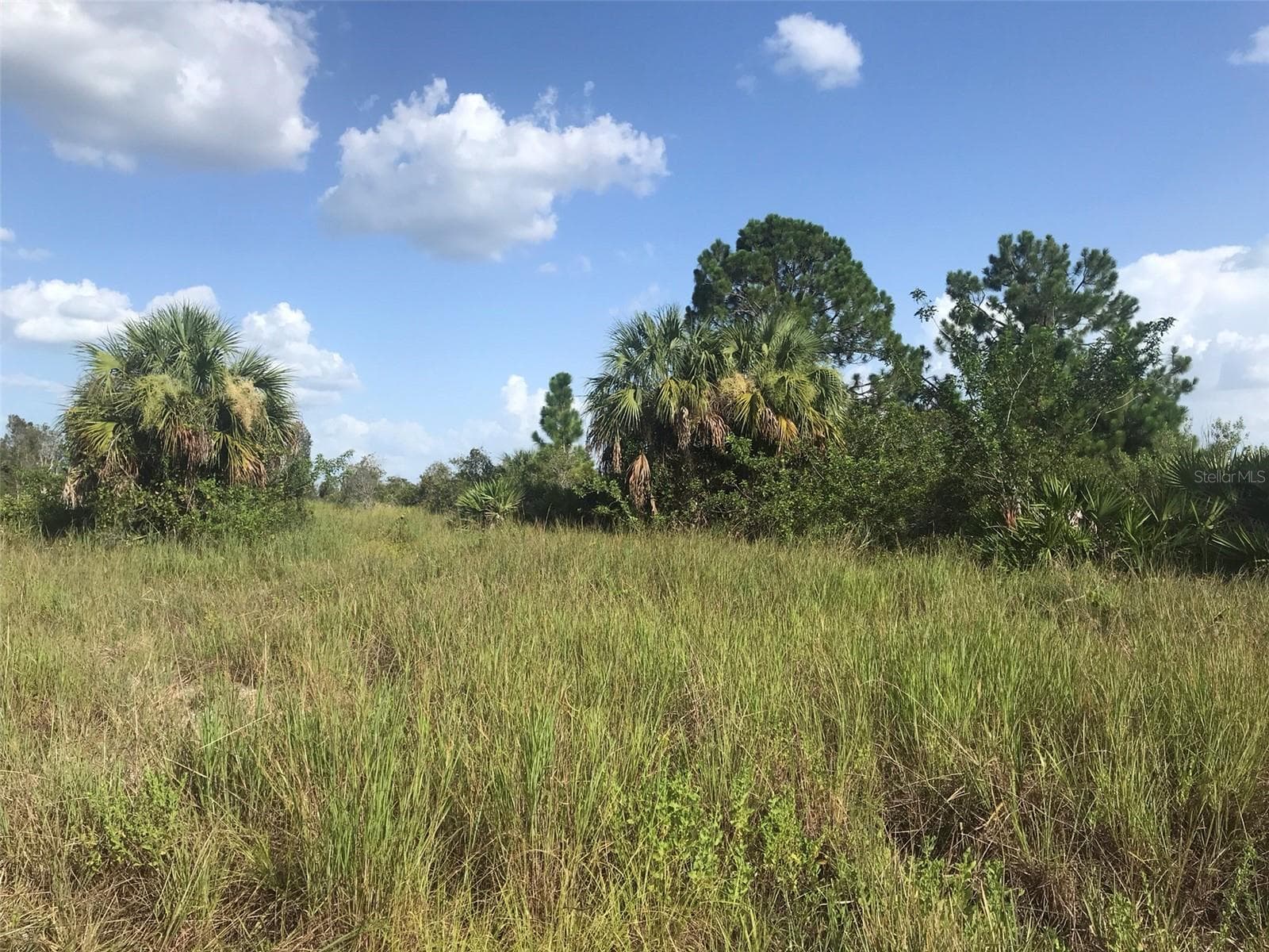 Land at 48033 BERMONT RD, PUNTA GORDA, photo 10 of 28