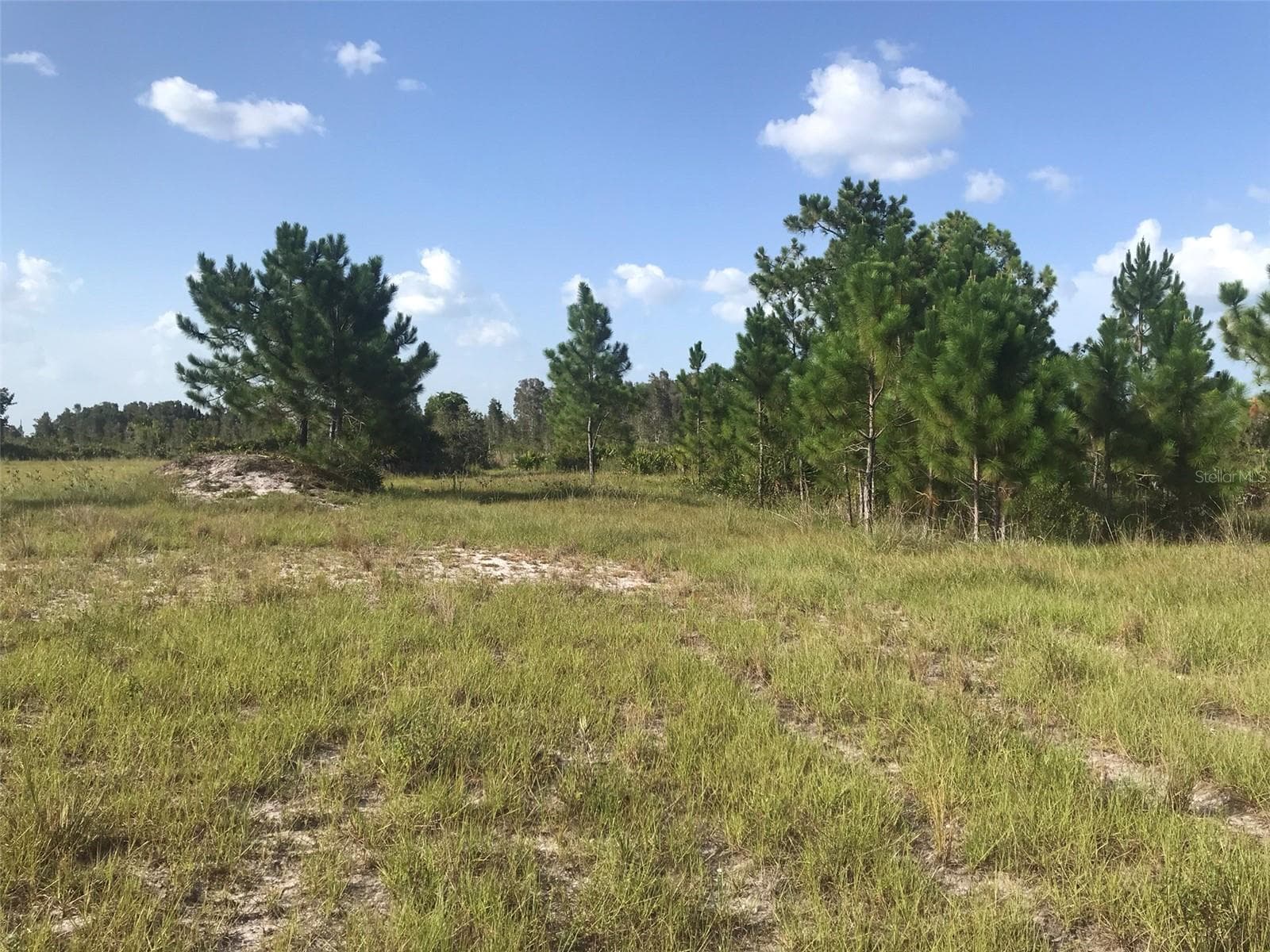 Land at 48033 BERMONT RD, PUNTA GORDA, photo 15 of 28