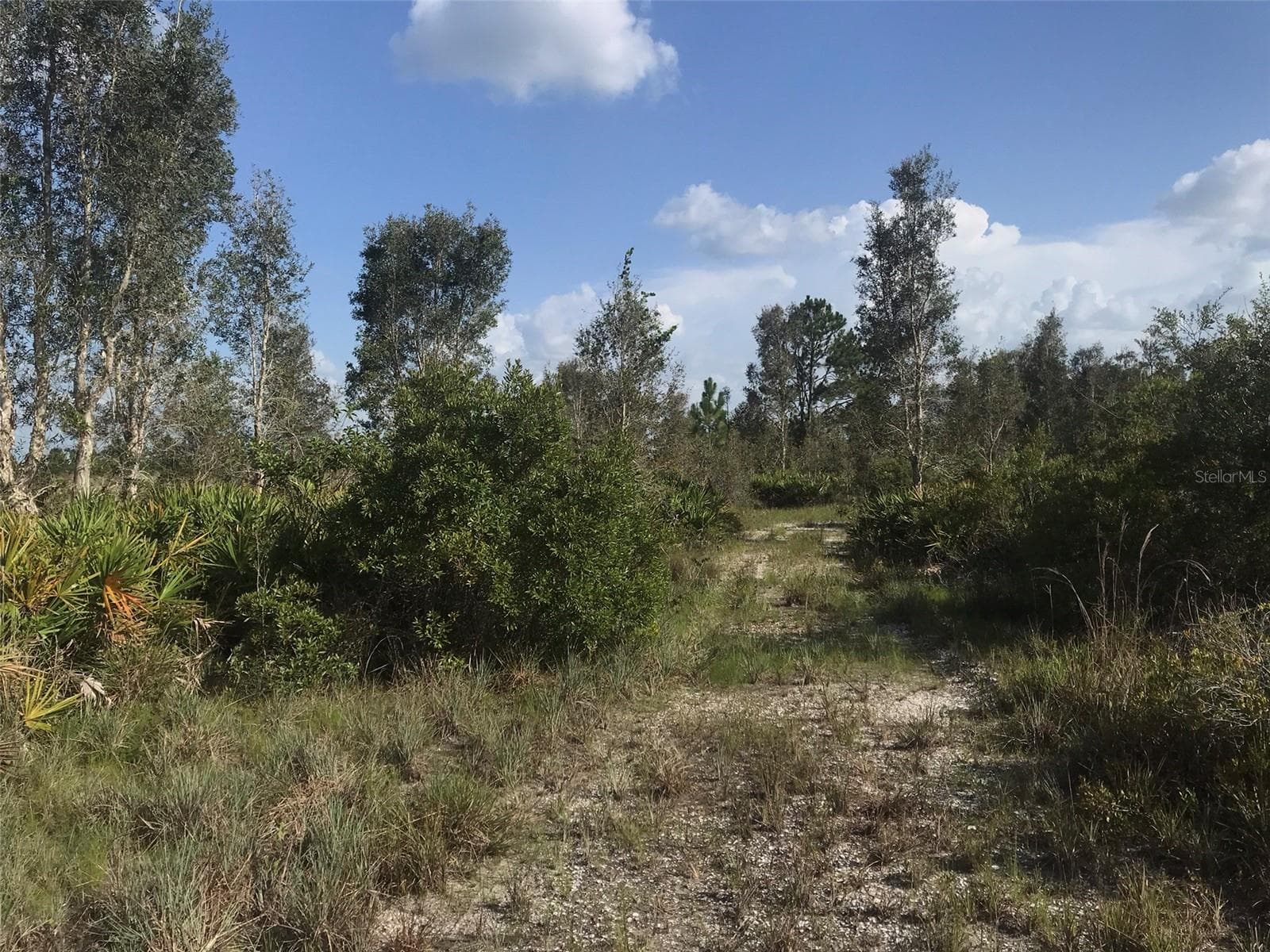 Wooded lane on access to the lake on 30 acres. - 48033 BERMONT RD, PUNTA GORDA