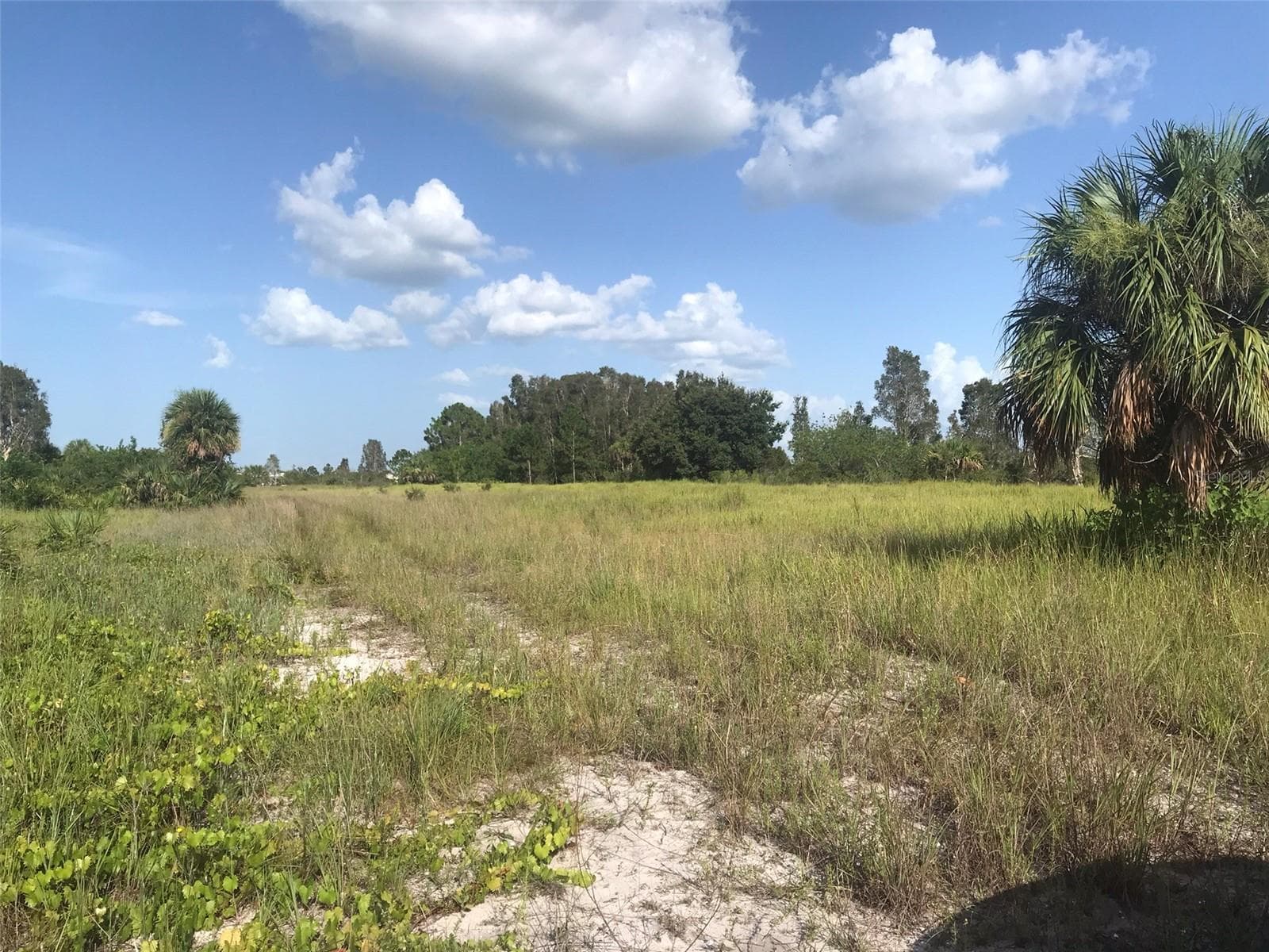 Land at 48033 BERMONT RD, PUNTA GORDA, photo 23 of 28