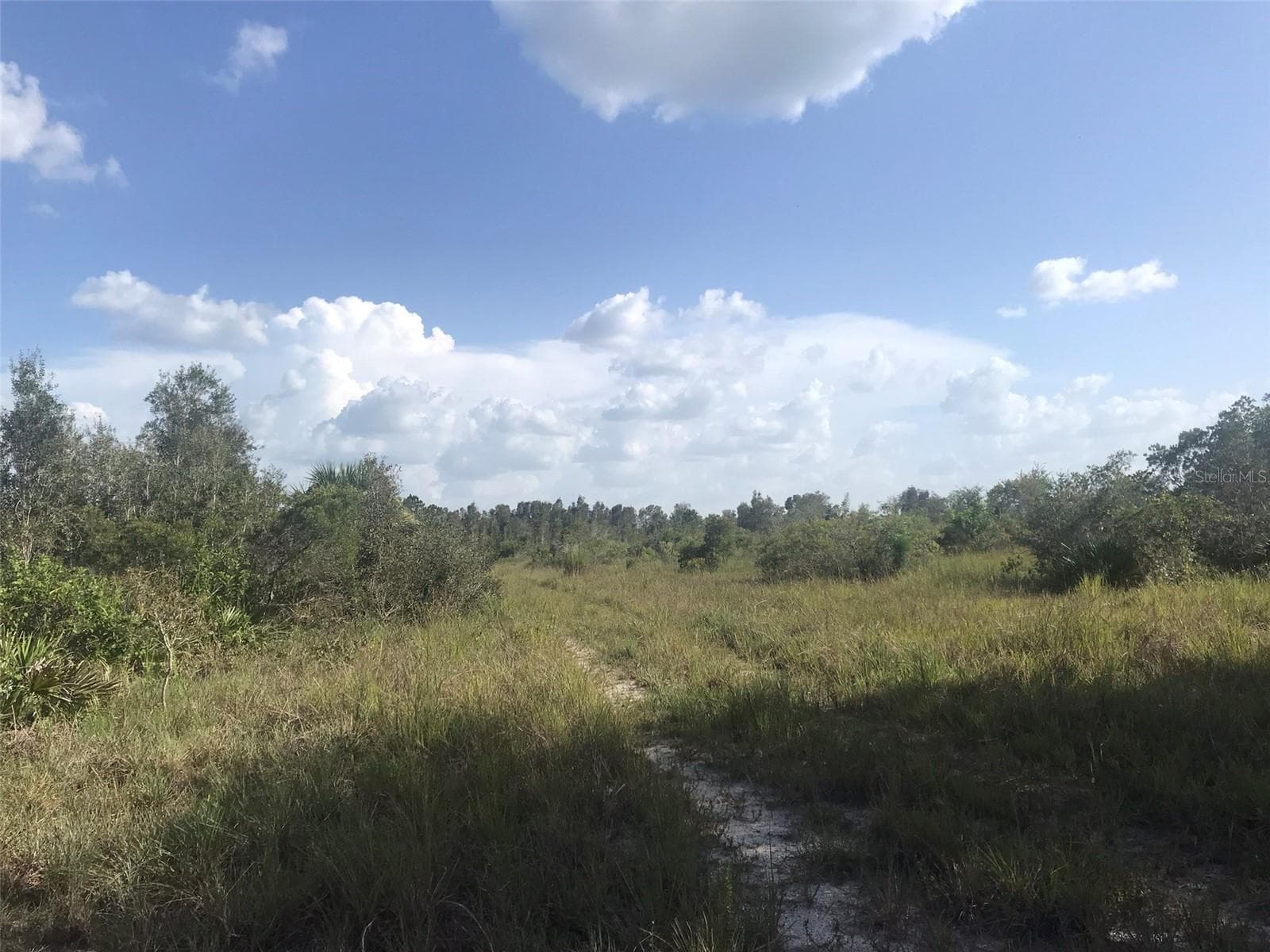 Land at 48033 BERMONT RD, PUNTA GORDA, photo 24 of 28