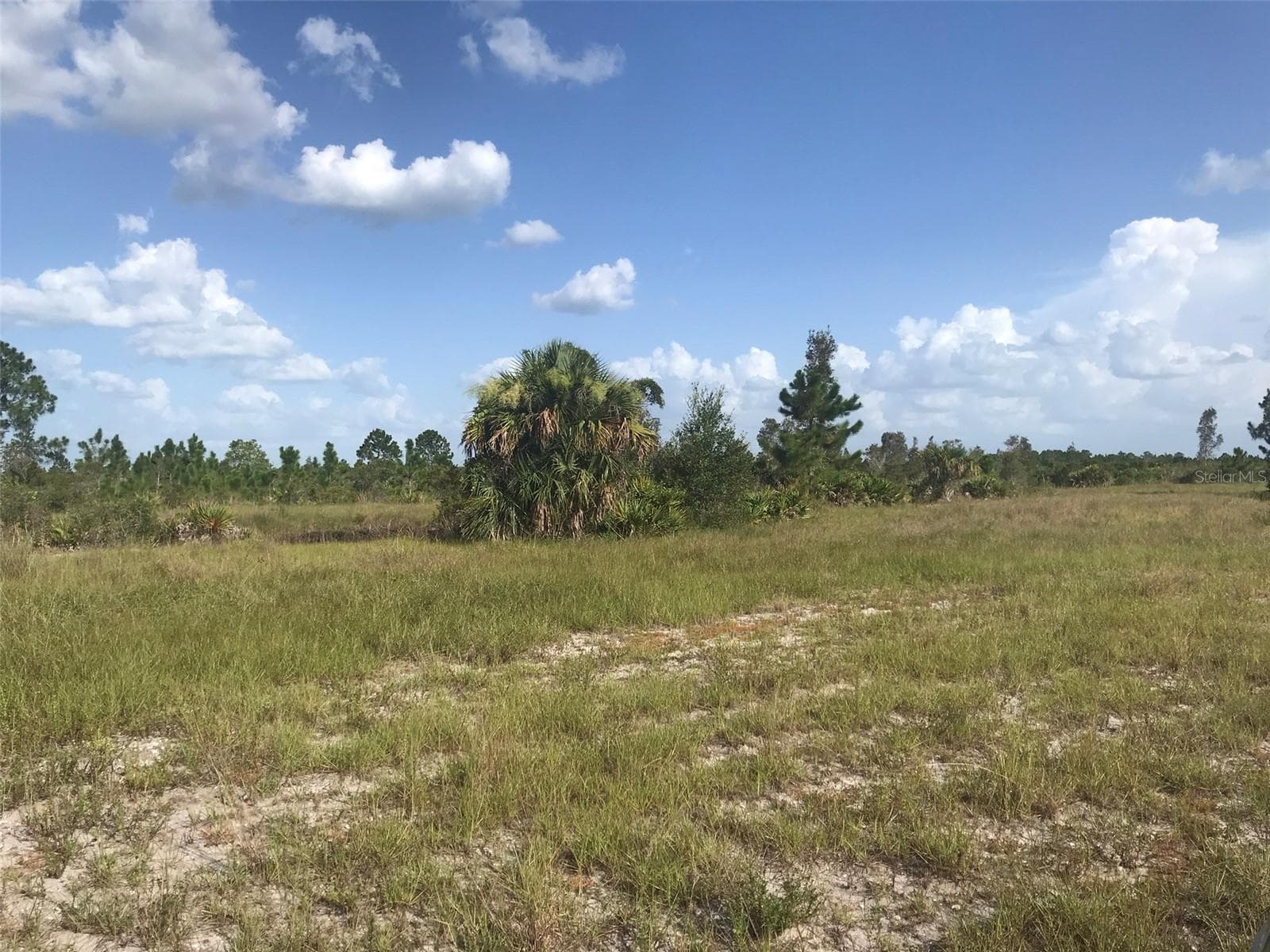 Land at 48033 BERMONT RD, PUNTA GORDA, photo 25 of 28