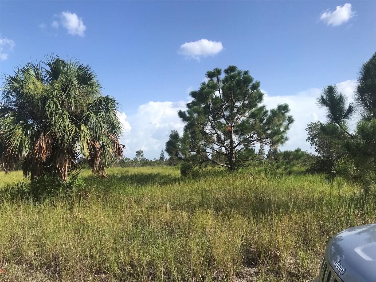 Land at 48033 BERMONT RD, PUNTA GORDA, photo 26 of 28