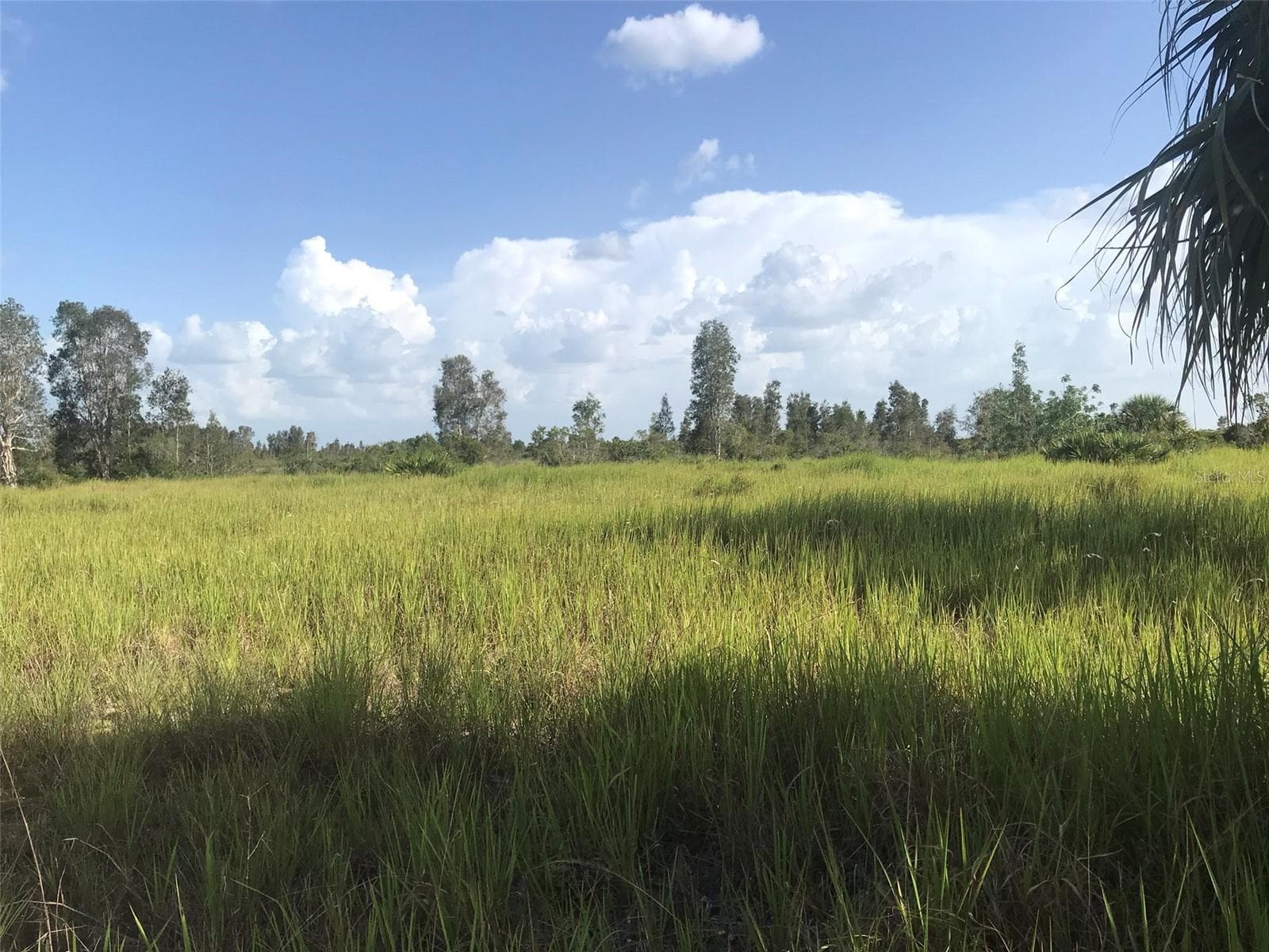 Land at 48033 BERMONT RD, PUNTA GORDA, photo 27 of 28