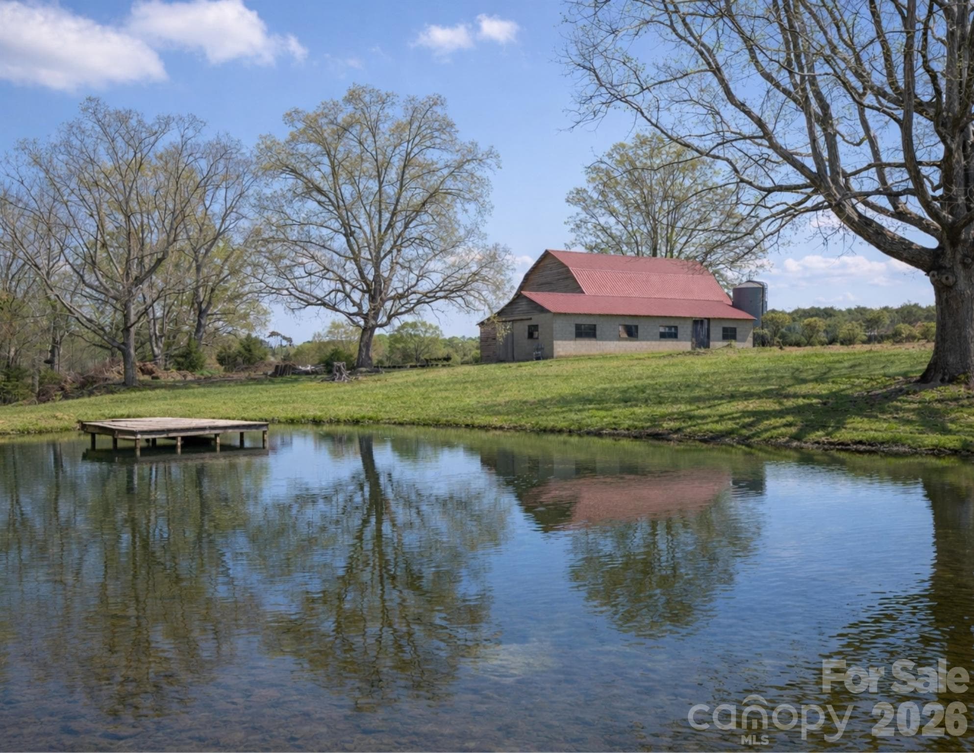 Pond with dock (virtually enhanced to remove pollen) - Albemarle