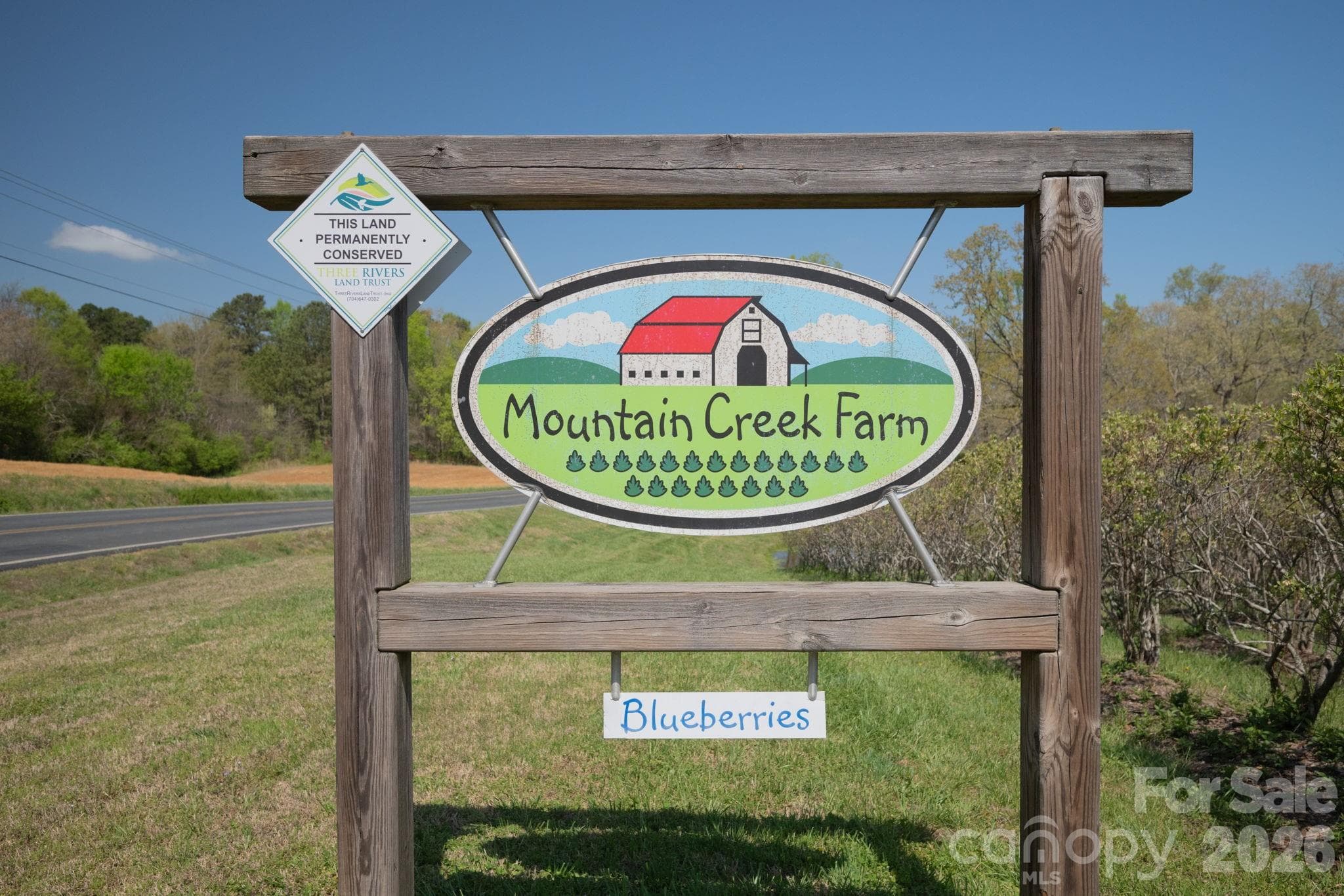 Existing U-Pick Blueberry Farm - Under a conservation easement with Three Rivers Land Trust - 32286 Laton Road, Albemarle