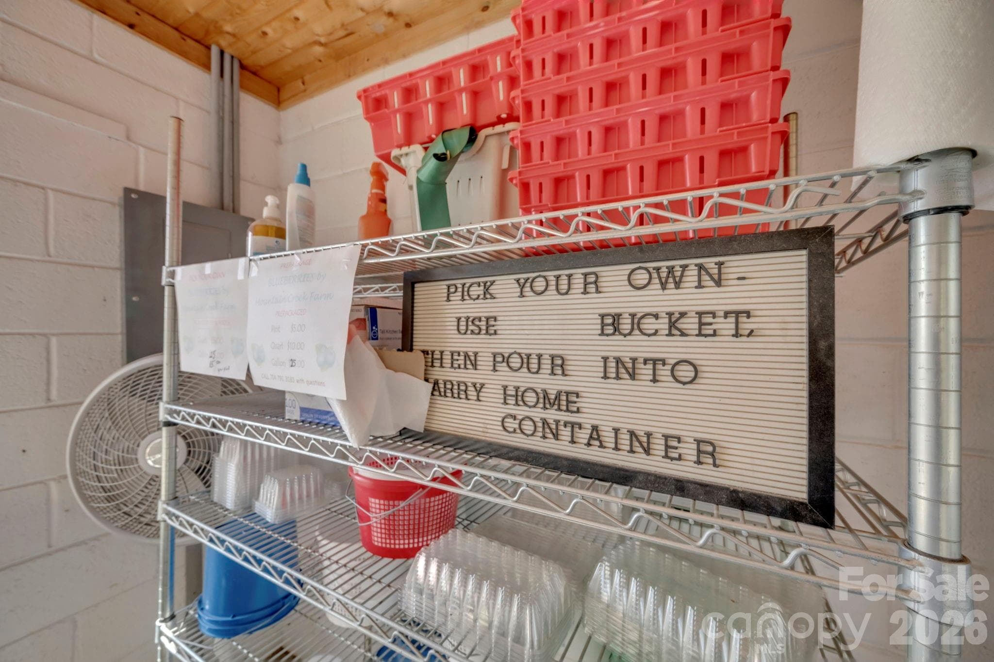 Existing U-Pick blueberry business - 32286 Laton Road, Albemarle